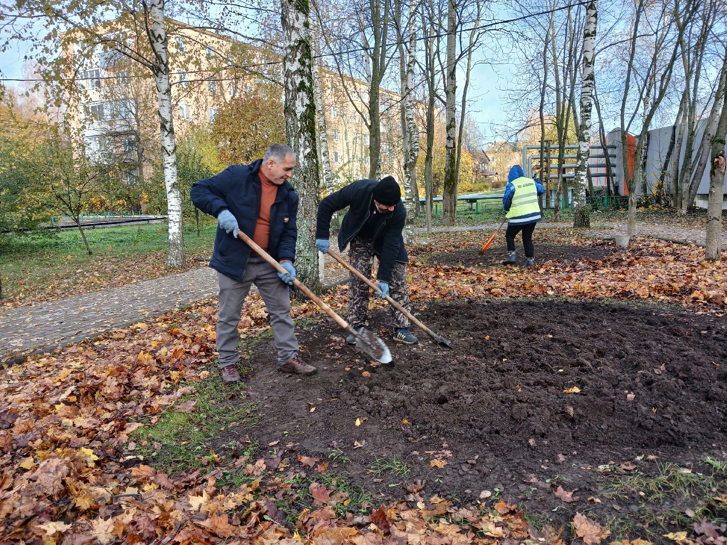 Тюльпаны, Клумбы, Луковицы, вертикалка,