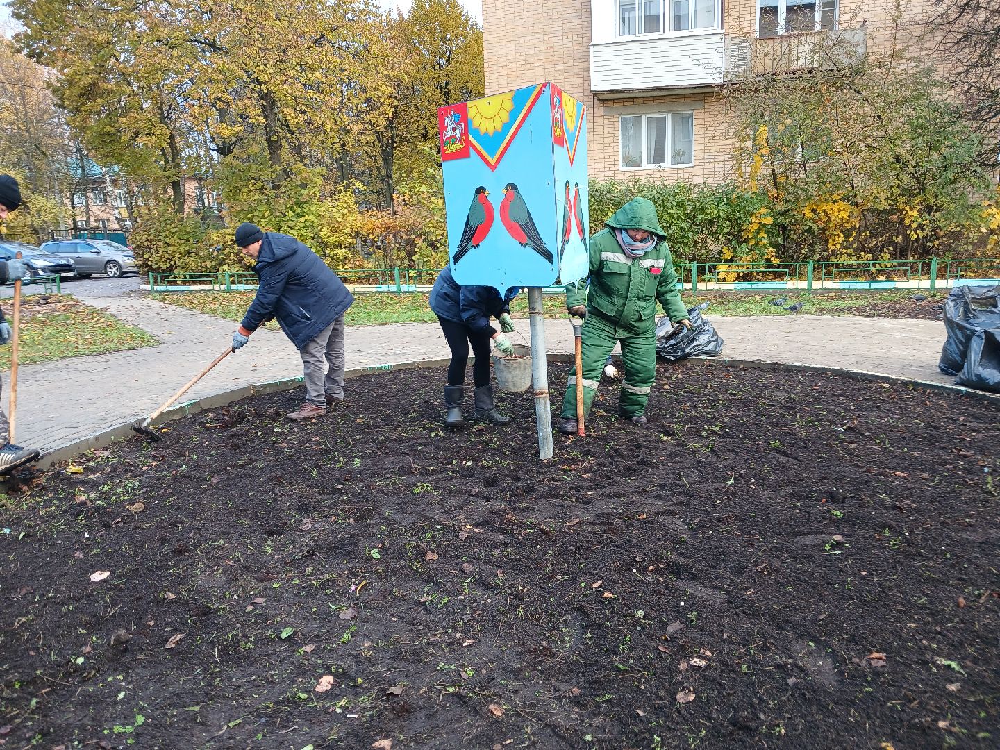 Тюльпаны, Клумбы, Луковицы, вертикалка,