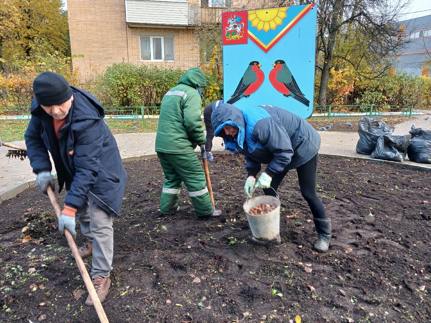 Тюльпаны, Клумбы, Луковицы, вертикалка,