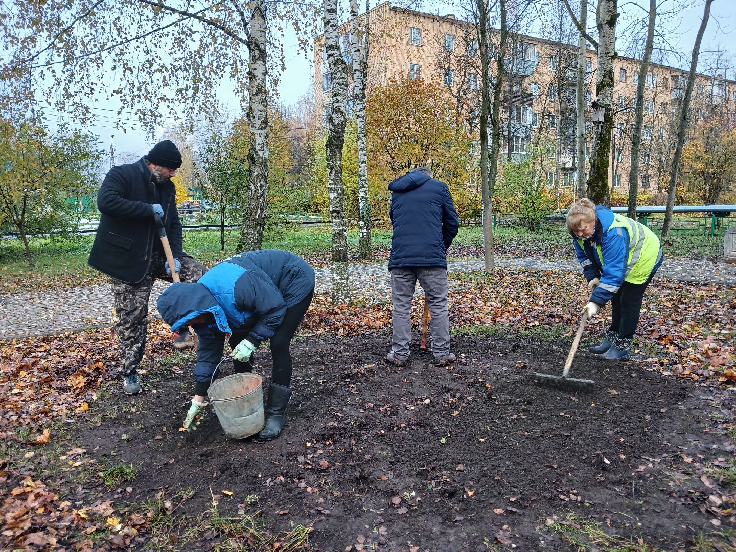 Тюльпаны, Клумбы, Луковицы, вертикалка,
