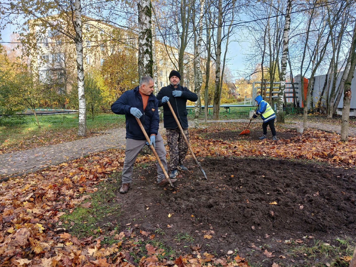 Тюльпаны, Клумбы, Луковицы, вертикалка,