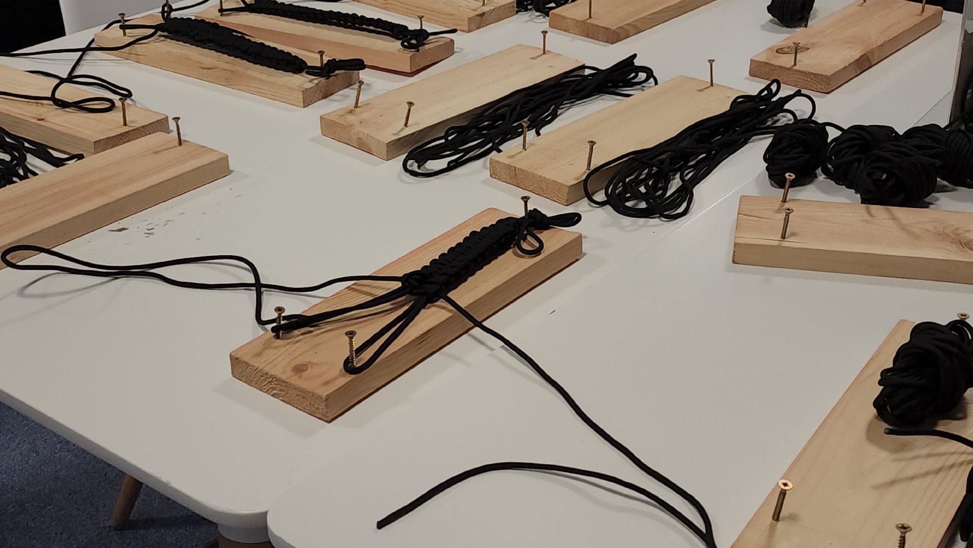 серпухов, подмосковье, день добровольца, МГЕР, волонтеры,