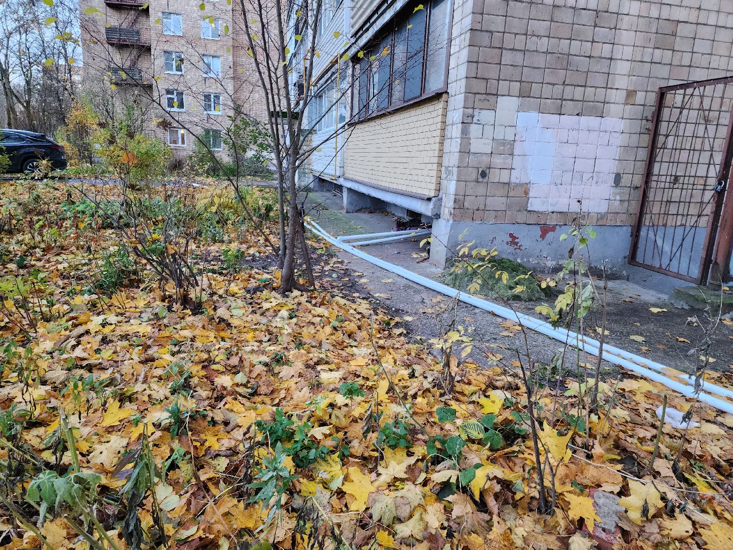 Черноголовка, отопительный сезон 2024-2025, Теплотрасса,