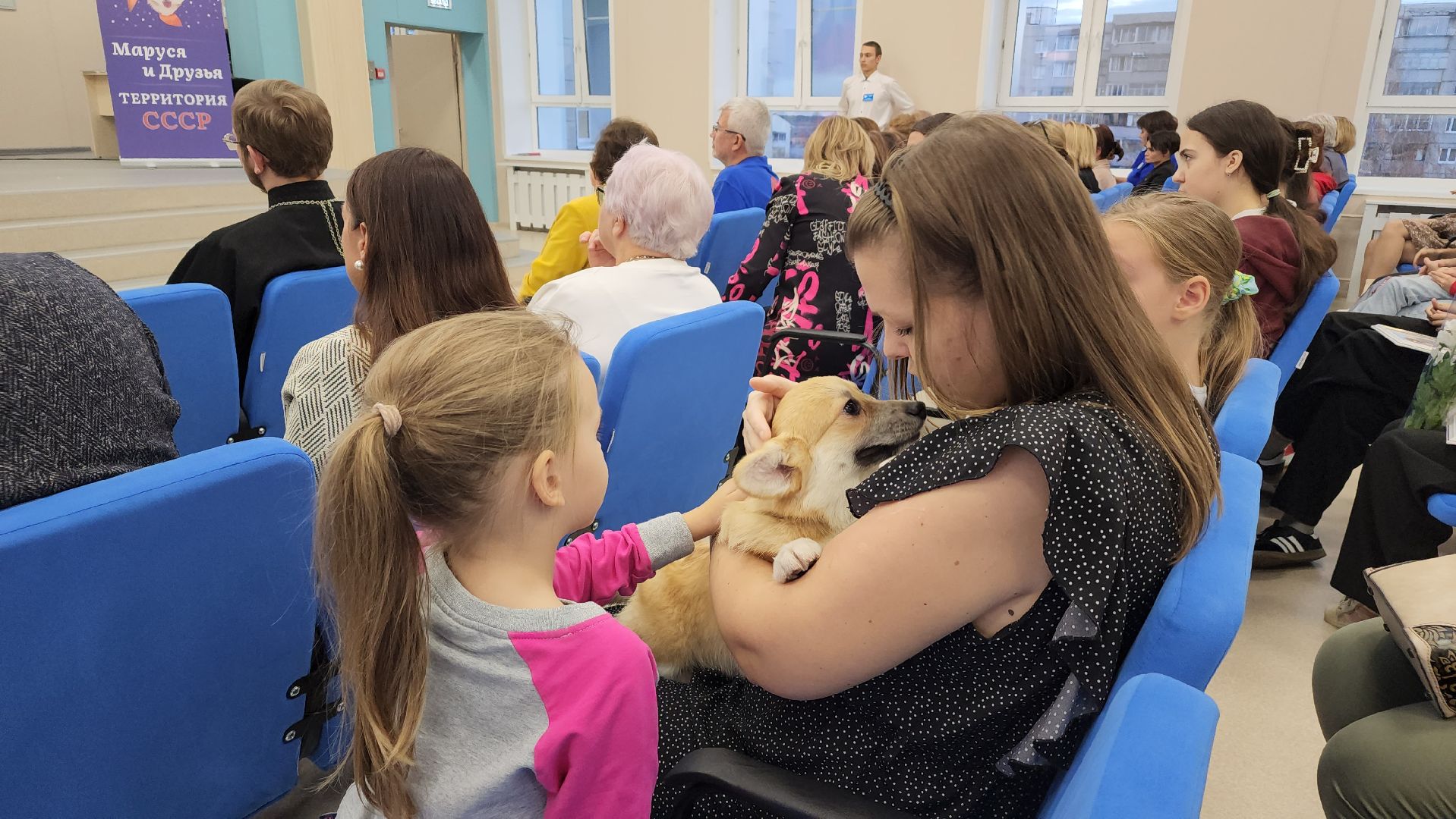 волонтеры, корги отряд, день добровольца московской области, Лосино-Петровский,