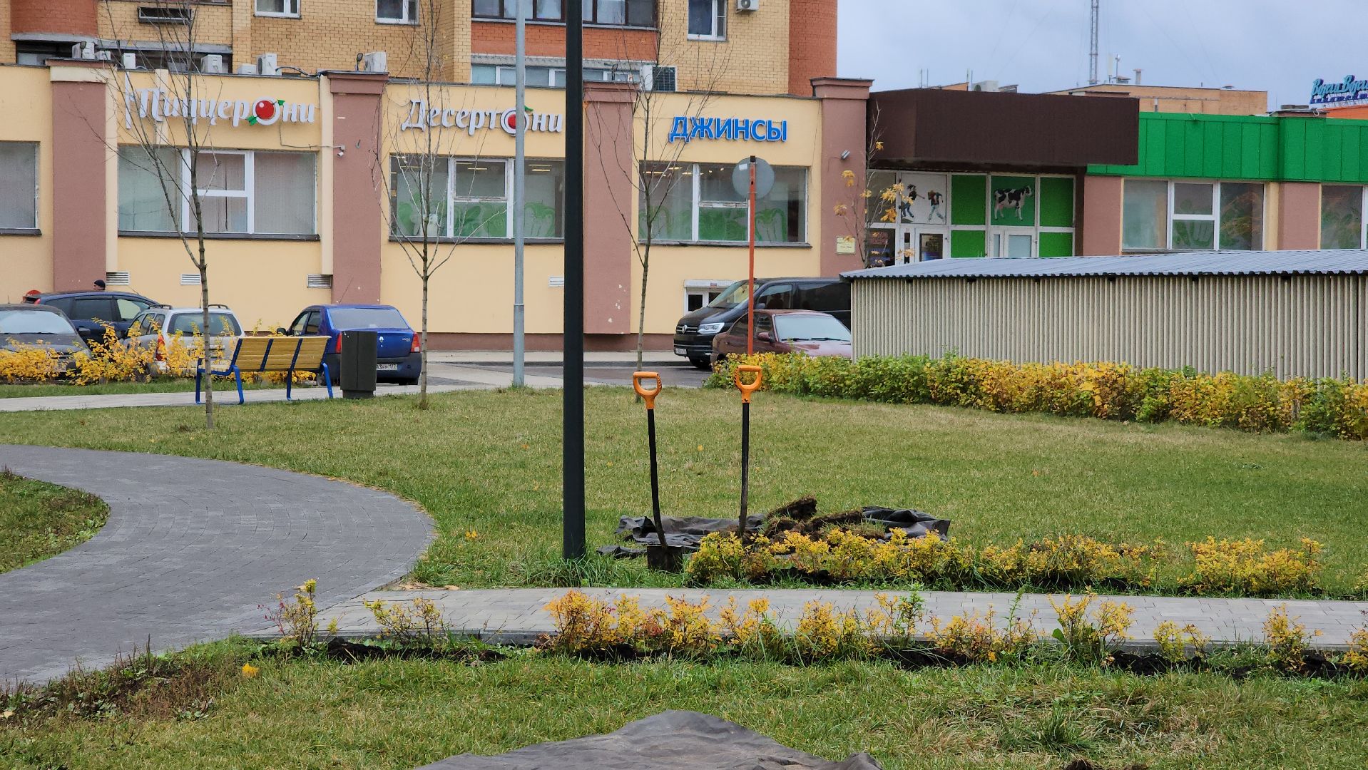 Дубна, Благоустройство, Новые деревья, Сквер,