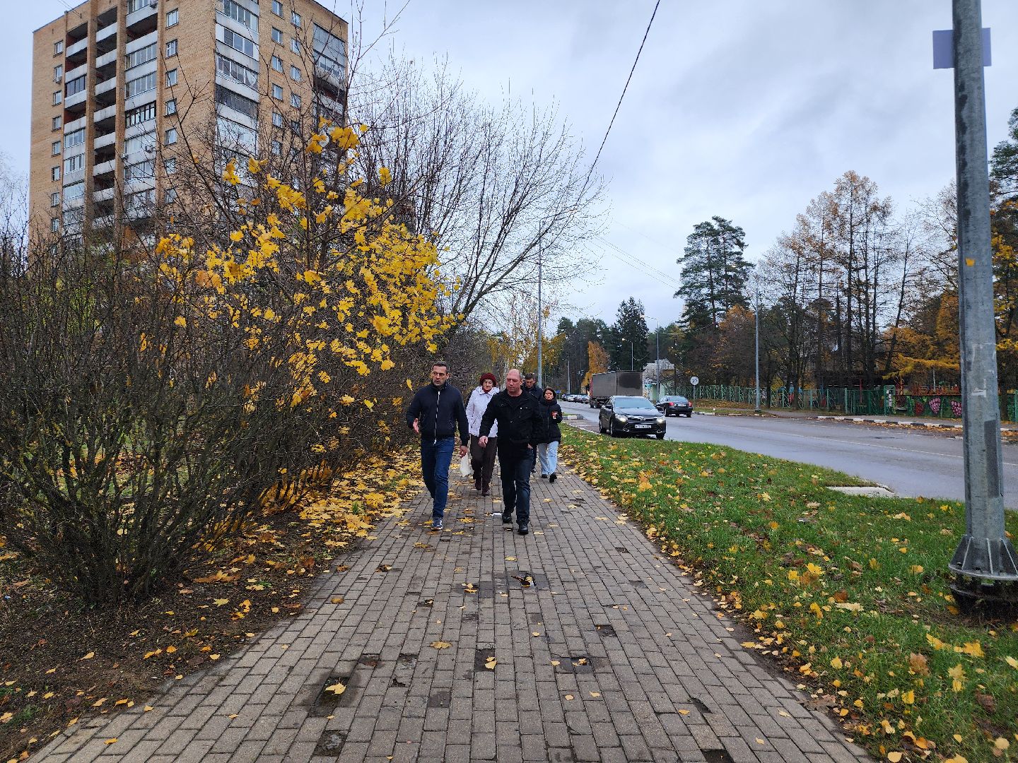 Дубна, Деревья, Подготовка к зиме, Благоустройство,