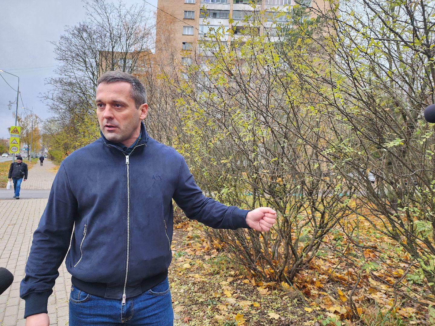 Дубна, Деревья, Подготовка к зиме, Благоустройство,