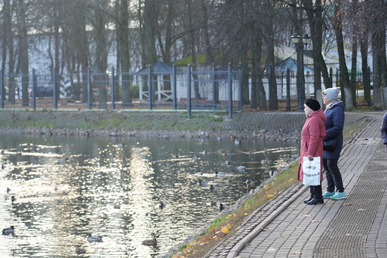 Огари, Сергиев Посад, Осень, Природа, Птицы, вертикалка,