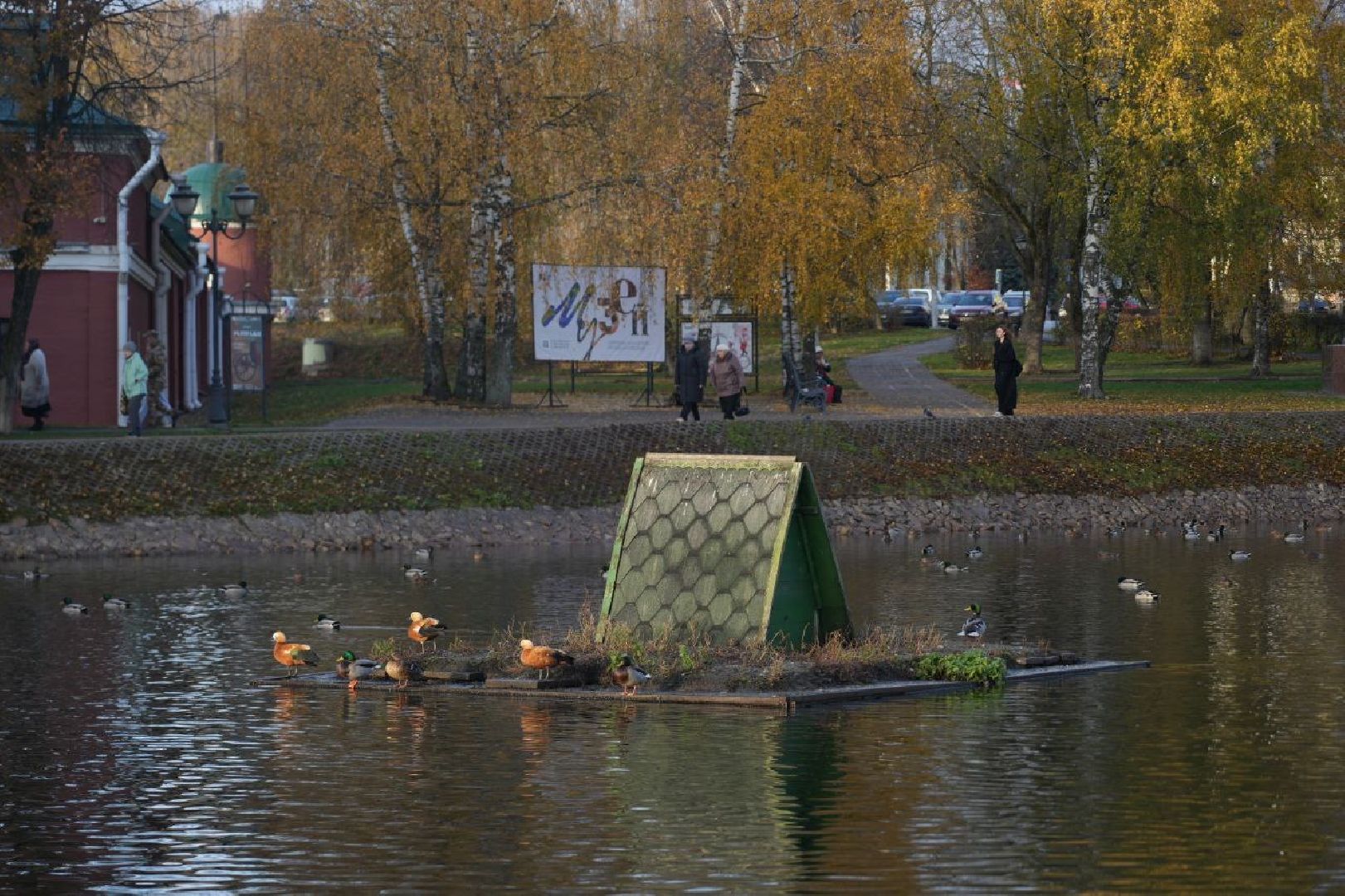 Огари, Сергиев Посад, Осень, Природа, Птицы, вертикалка,
