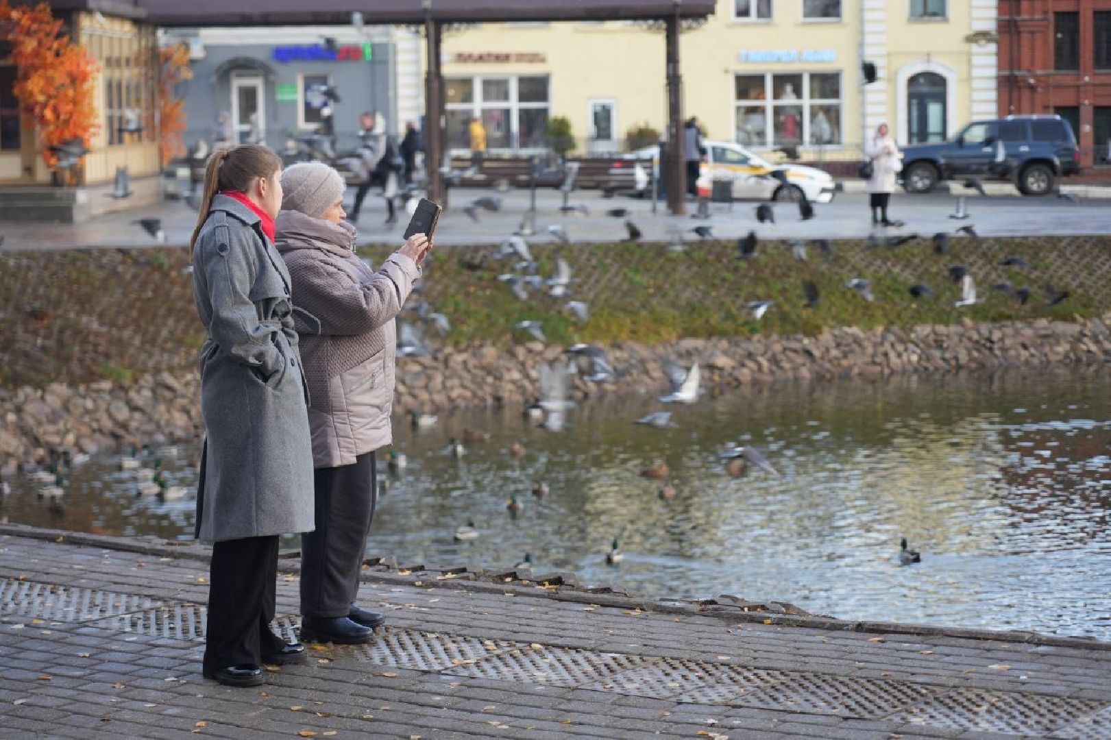 Огари, Сергиев Посад, Осень, Природа, Птицы, вертикалка,