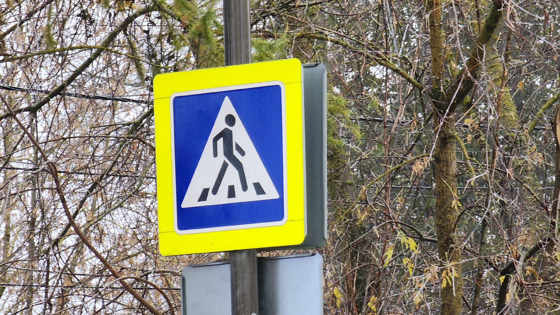 Солнечногорск, дороги, вертлинское шоссе, ямочный ремонт, добродел,