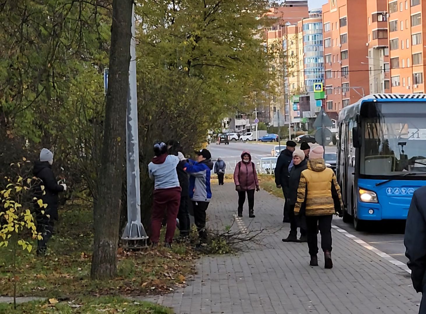 Дубна, МБУ ЖКУ, Благоустройство, жкх,