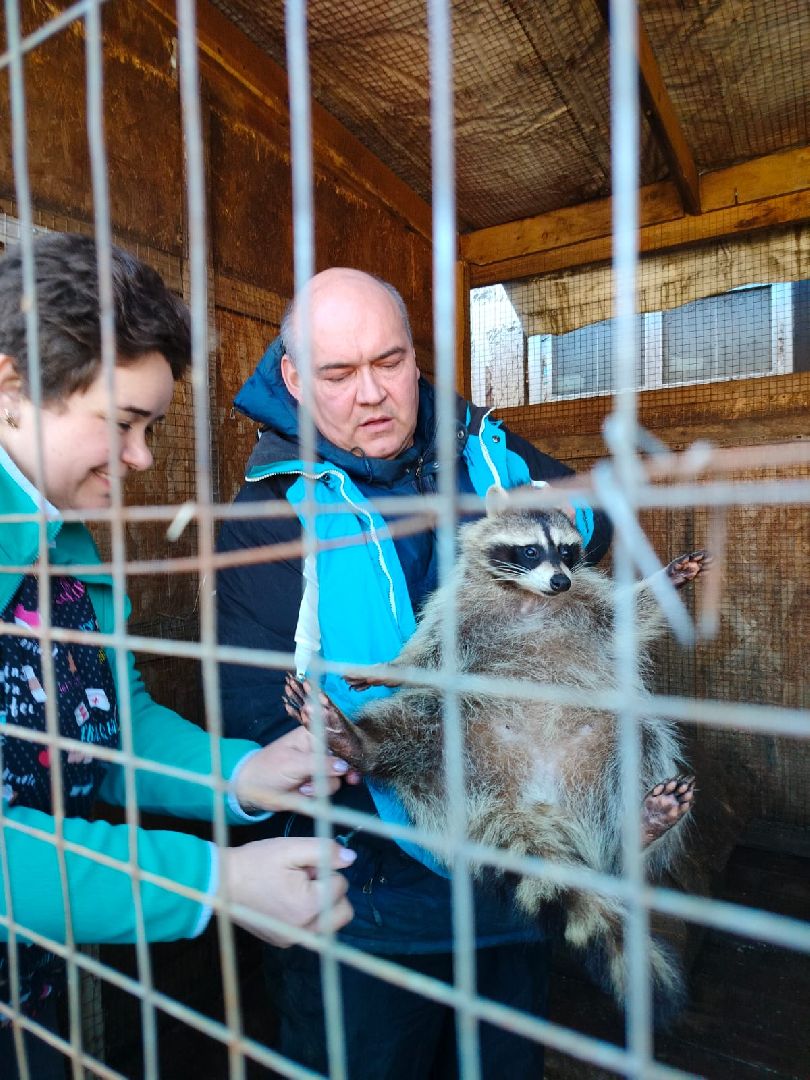 Здравоохранение, животные, вакцинация, ветеринария