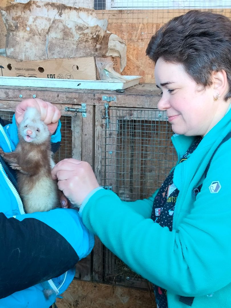 Здравоохранение, животные, вакцинация, ветеринария