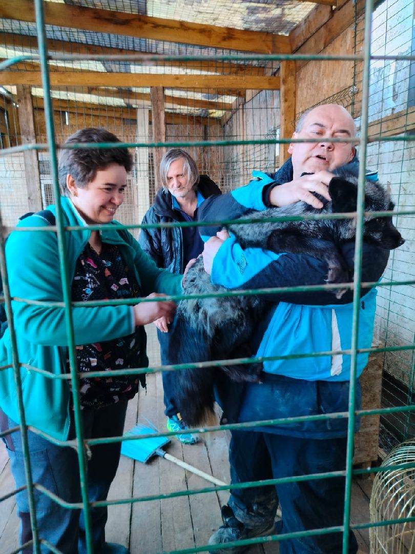 Здравоохранение, животные, вакцинация, ветеринария