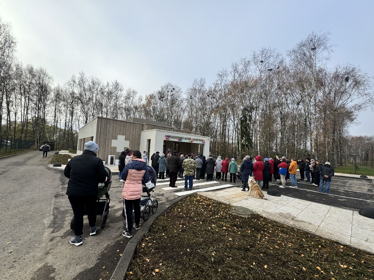 шаховская, новый фап, открытие фапа, медицина,