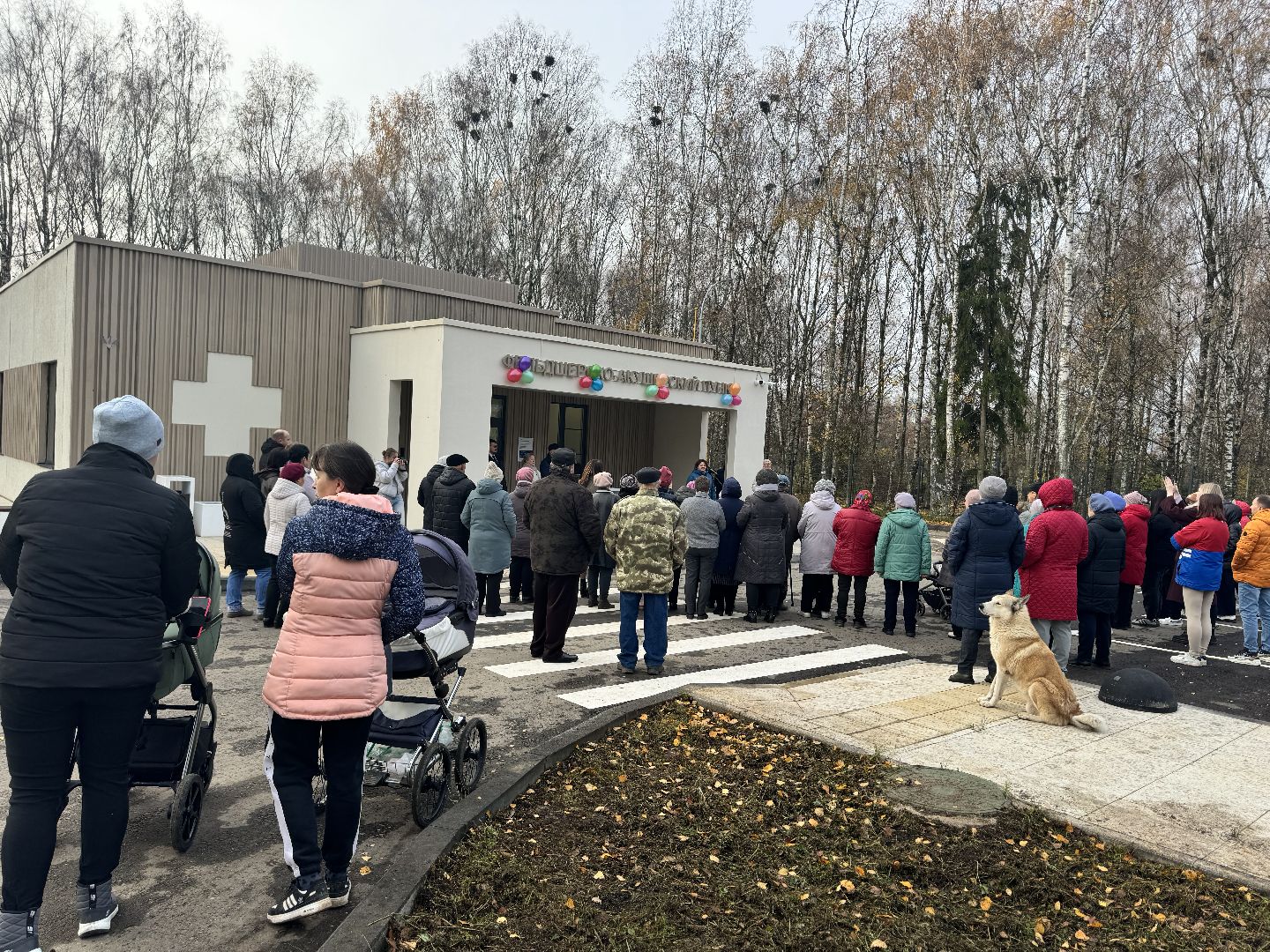 шаховская, новый фап, открытие фапа, медицина,