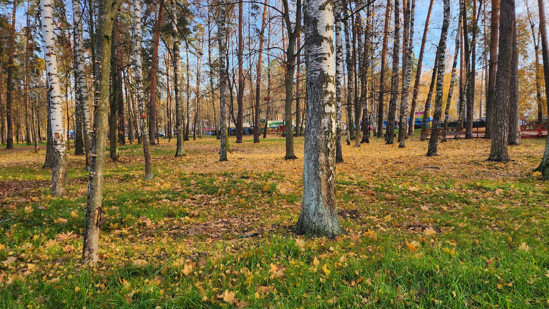 зимний сезон, парки Богородского округа, подготовка к зимнему сезону, Ногинск, Богородский городской округ,