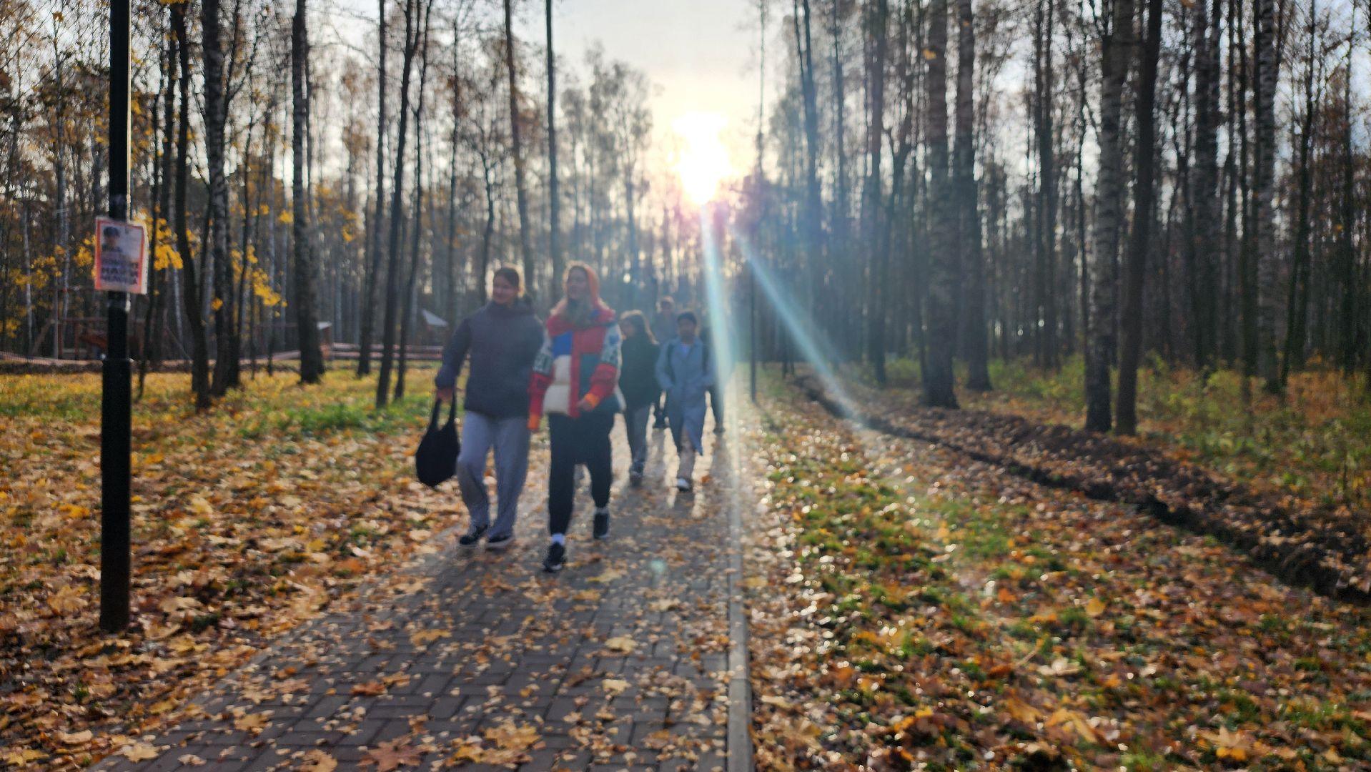 зимний сезон, парки Богородского округа, подготовка к зимнему сезону, Ногинск, Богородский городской округ,