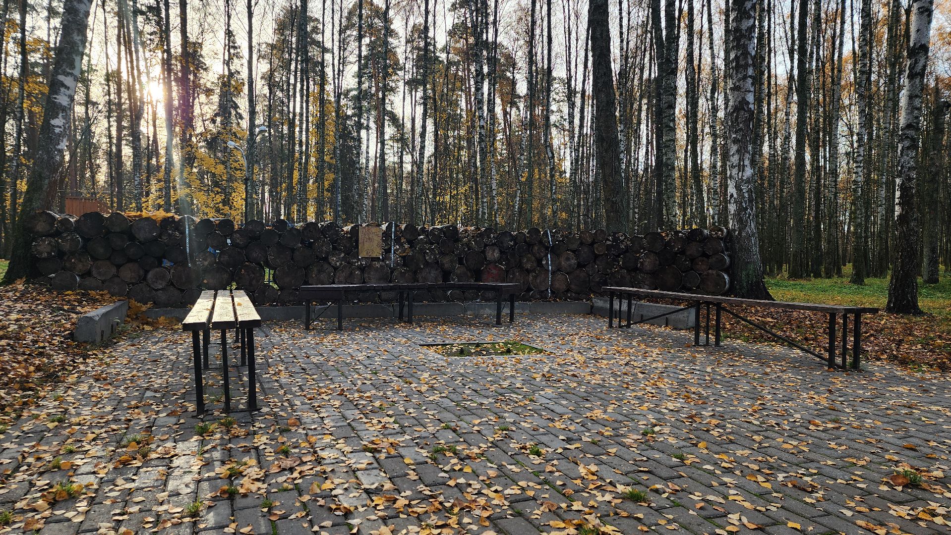 зимний сезон, парки Богородского округа, подготовка к зимнему сезону, Ногинск, Богородский городской округ,