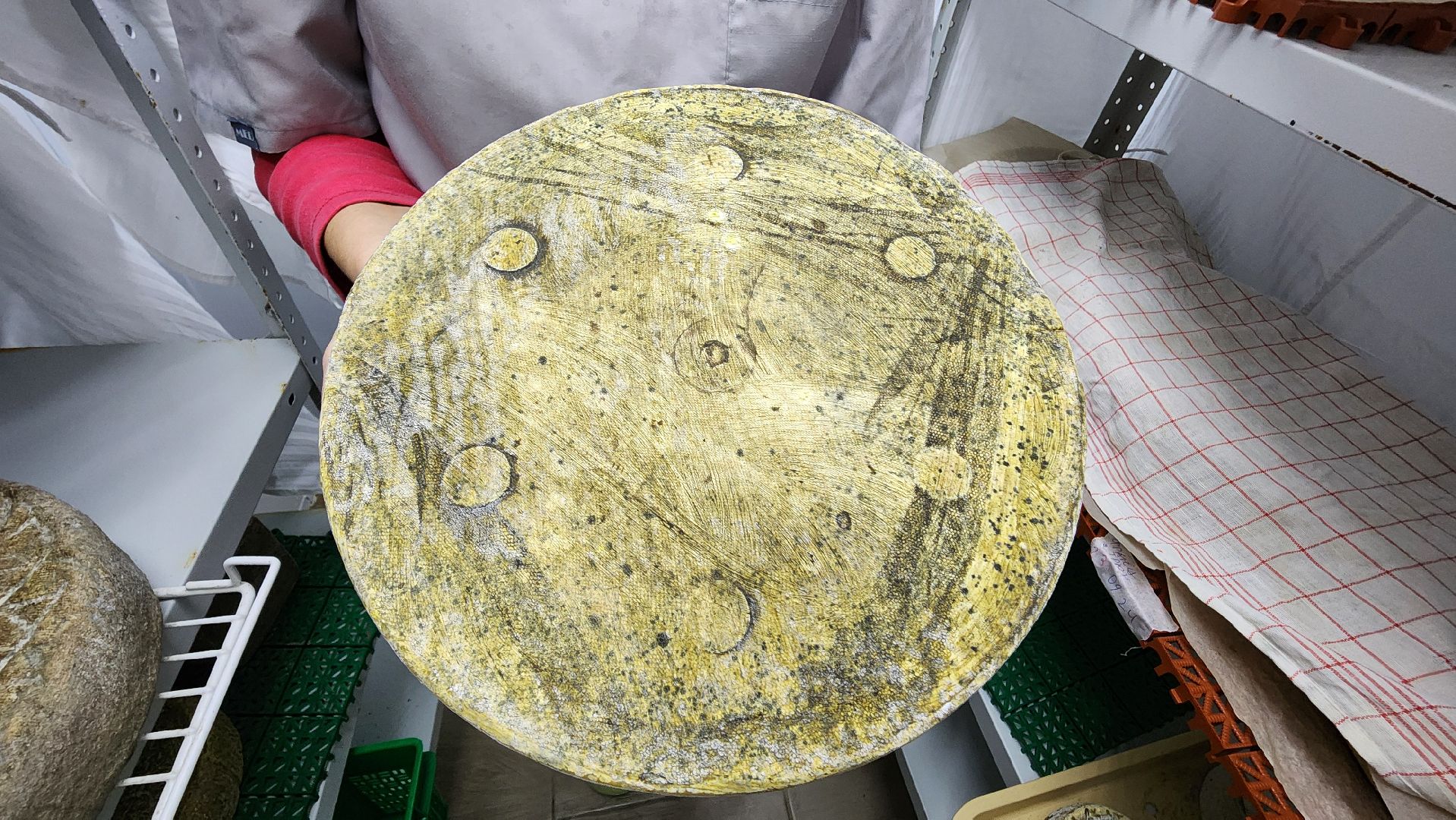 солнечногорск, экономика, фермерство, предприниматели, сыроварня,