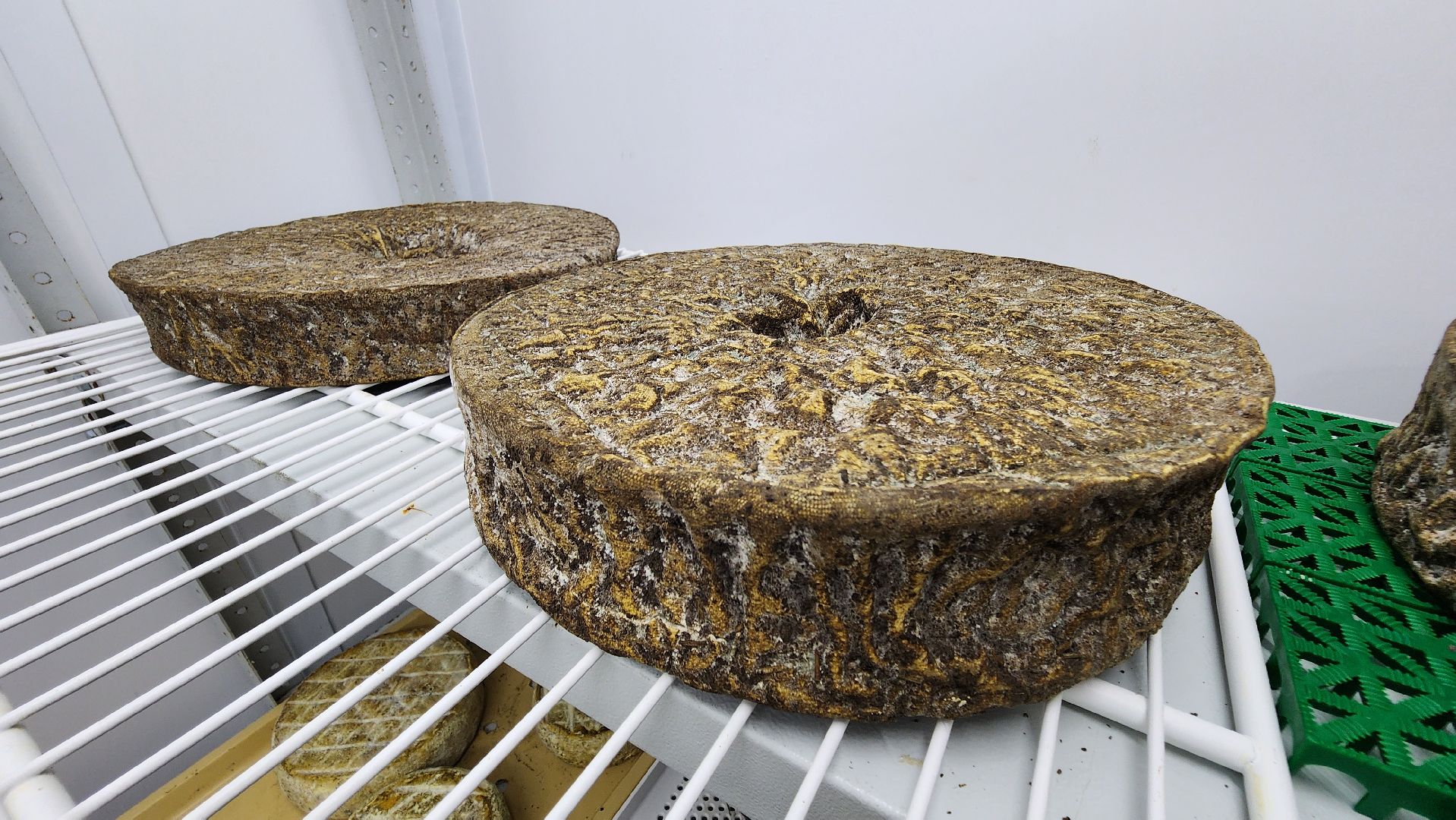 солнечногорск, экономика, фермерство, предприниматели, сыроварня,