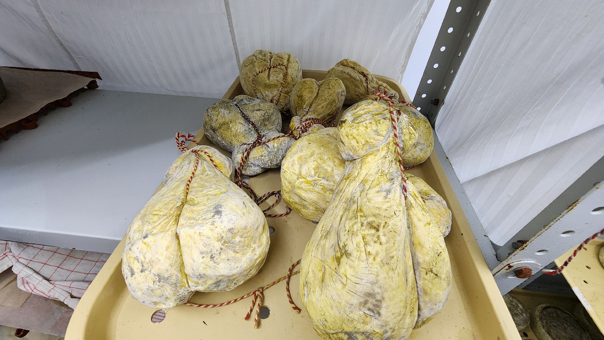 солнечногорск, экономика, фермерство, предприниматели, сыроварня,