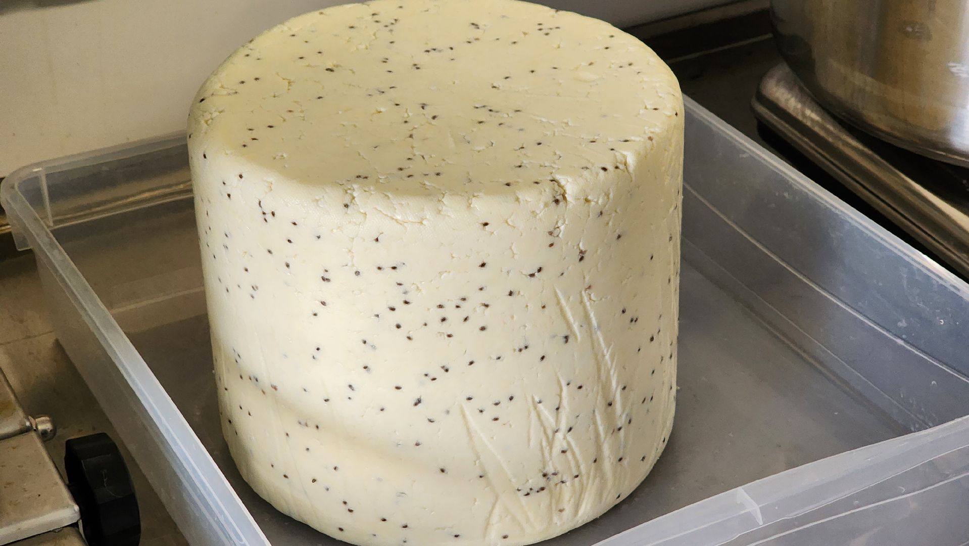 солнечногорск, экономика, фермерство, предприниматели, сыроварня,