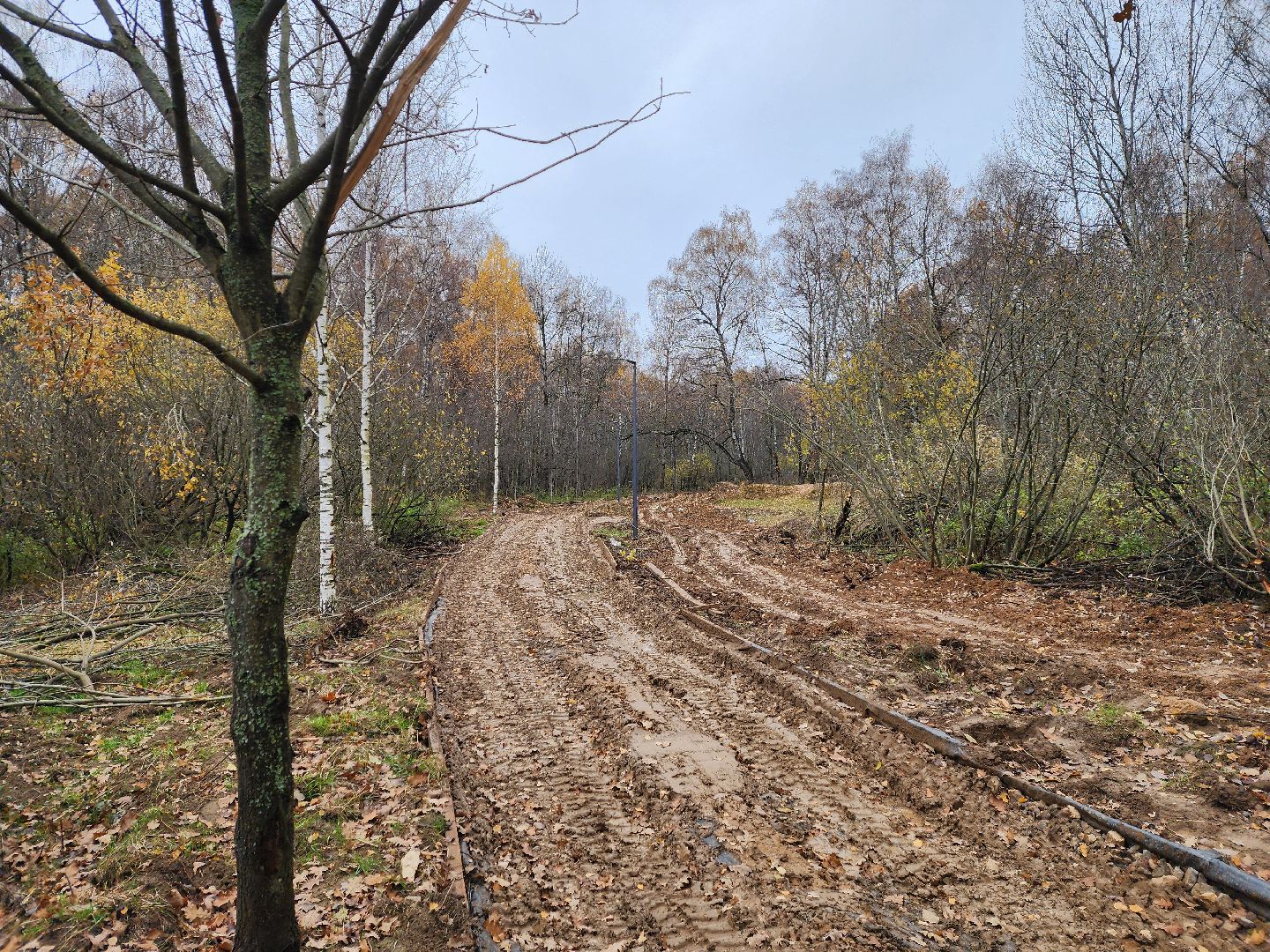 Одинцово, велодорожка, связь трех парков, освещение,