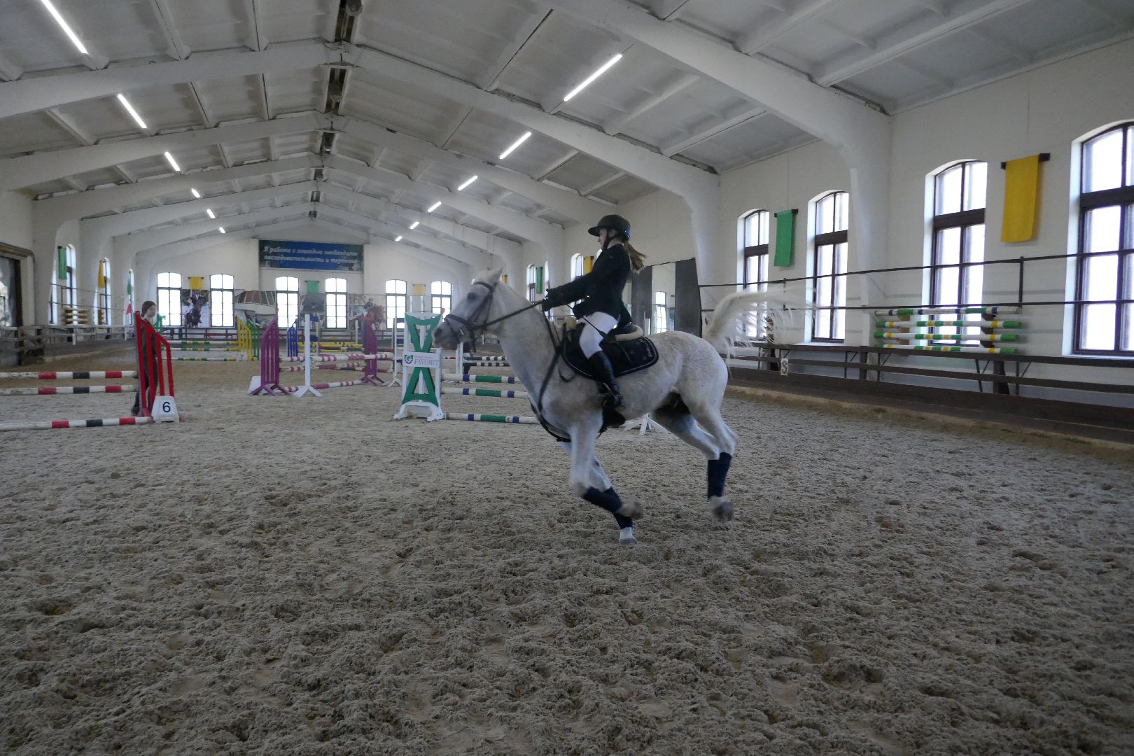 Подольск, День космонавтики, конный спорт, фаворит