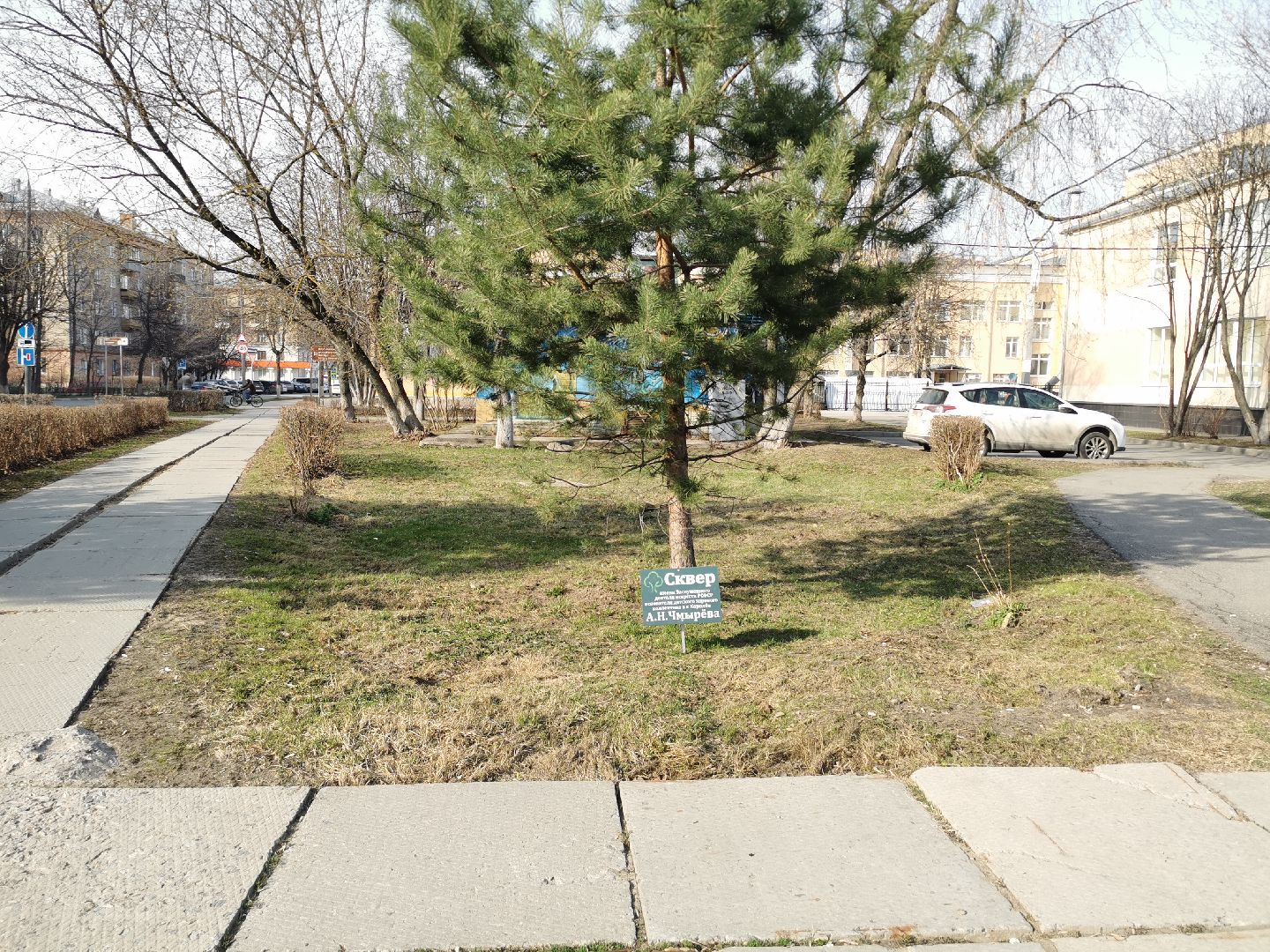 волонтеры, благоустройство