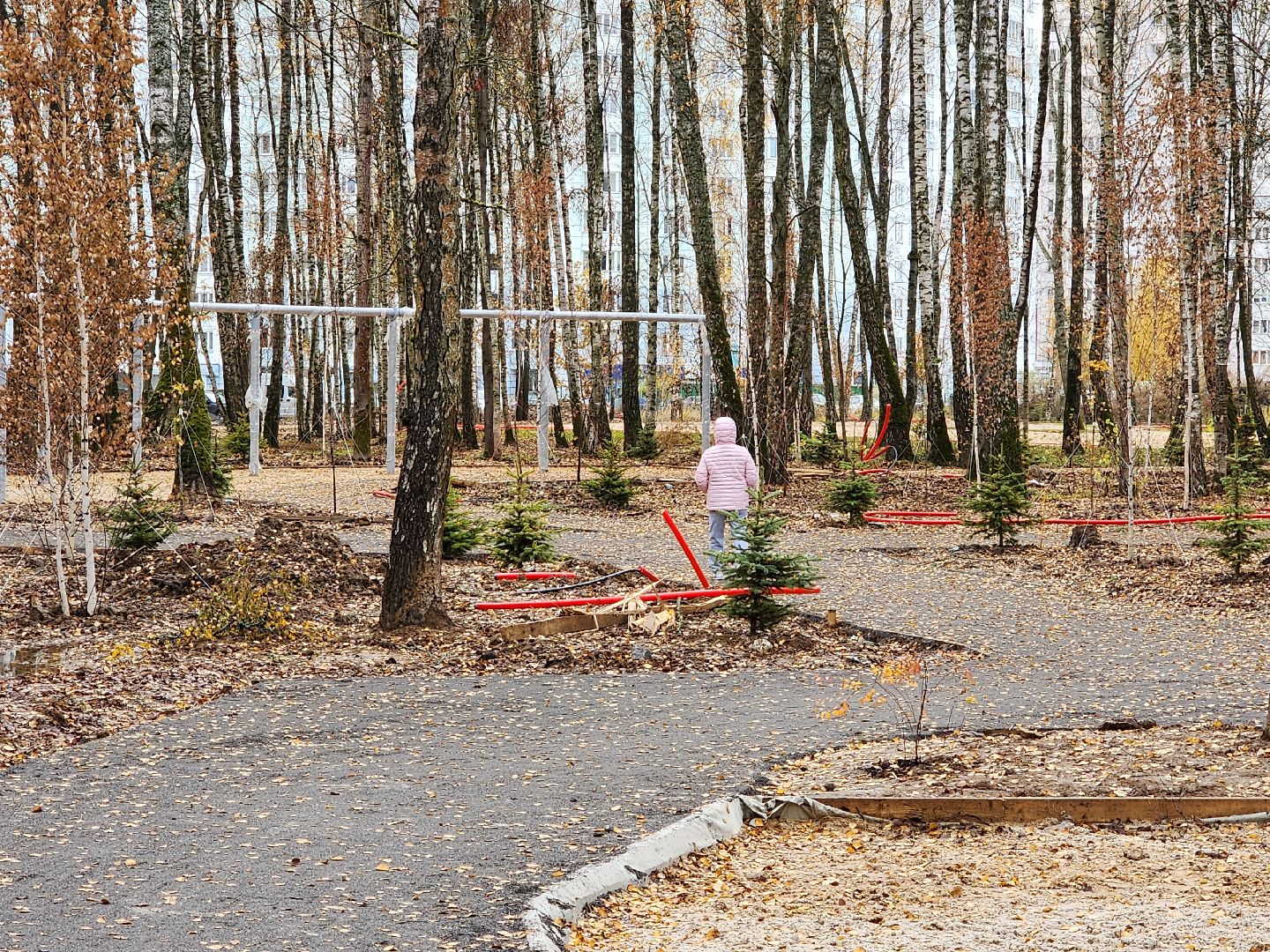 Чехов, микрорайон Губернский, лесопарк, лесопарковая зона отдыха, строительство, благоустройство, пешеходные дорожки, тропинки, велосипедные дорожки,