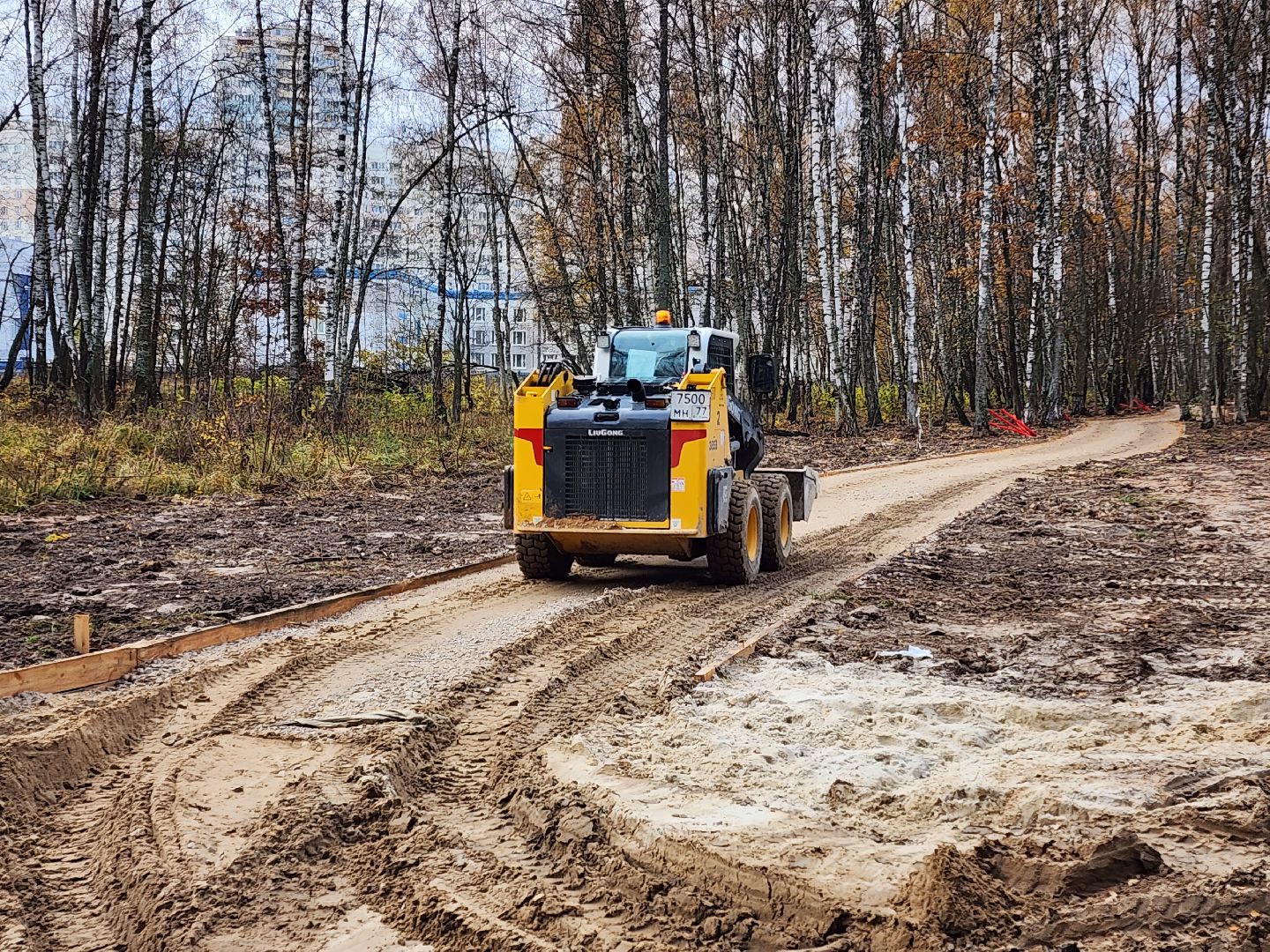 Чехов, микрорайон Губернский, лесопарк, лесопарковая зона отдыха, строительство, благоустройство, пешеходные дорожки, тропинки, велосипедные дорожки,