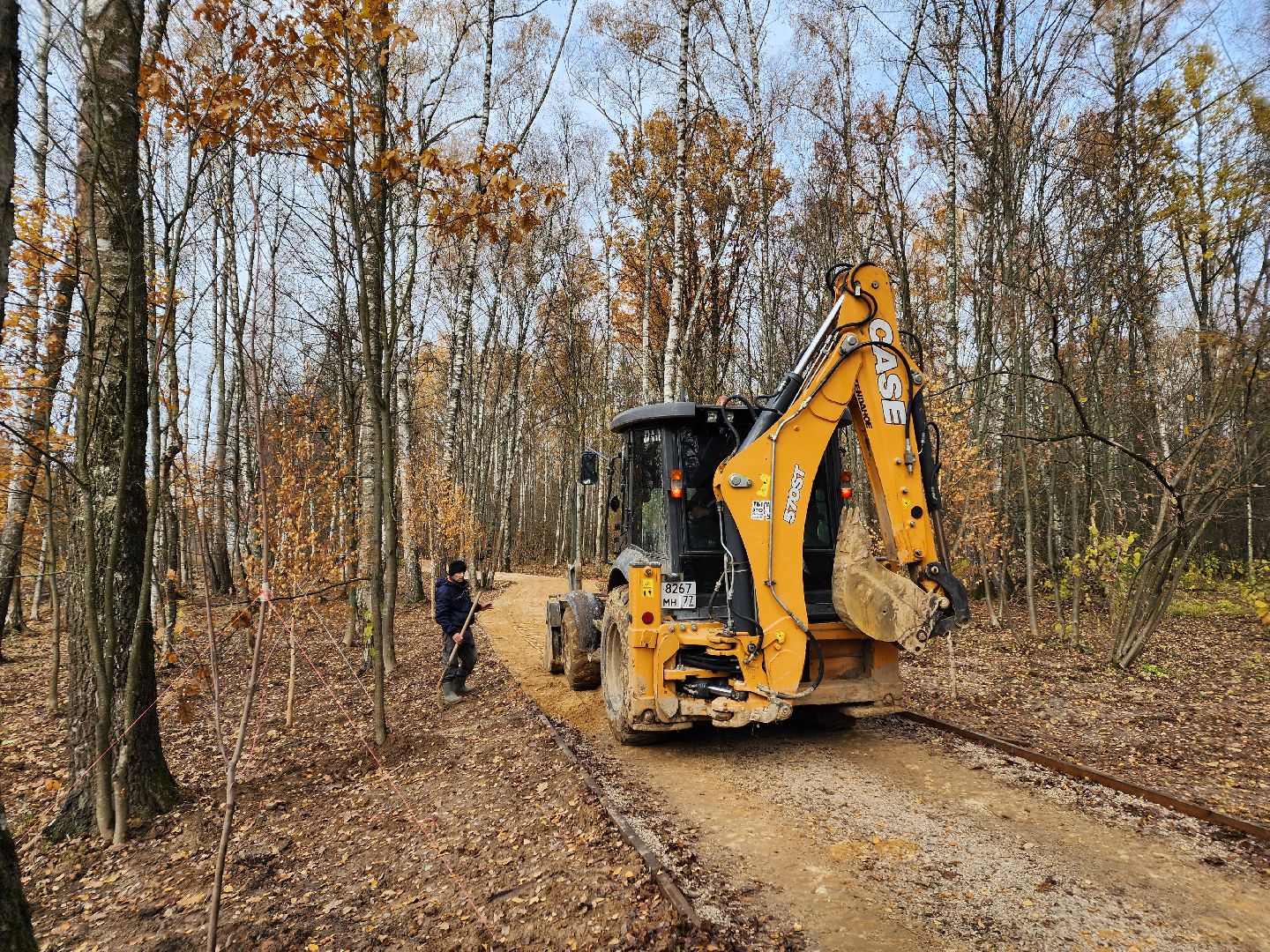 Чехов, микрорайон Губернский, лесопарк, лесопарковая зона отдыха, строительство, благоустройство, пешеходные дорожки, тропинки, велосипедные дорожки,