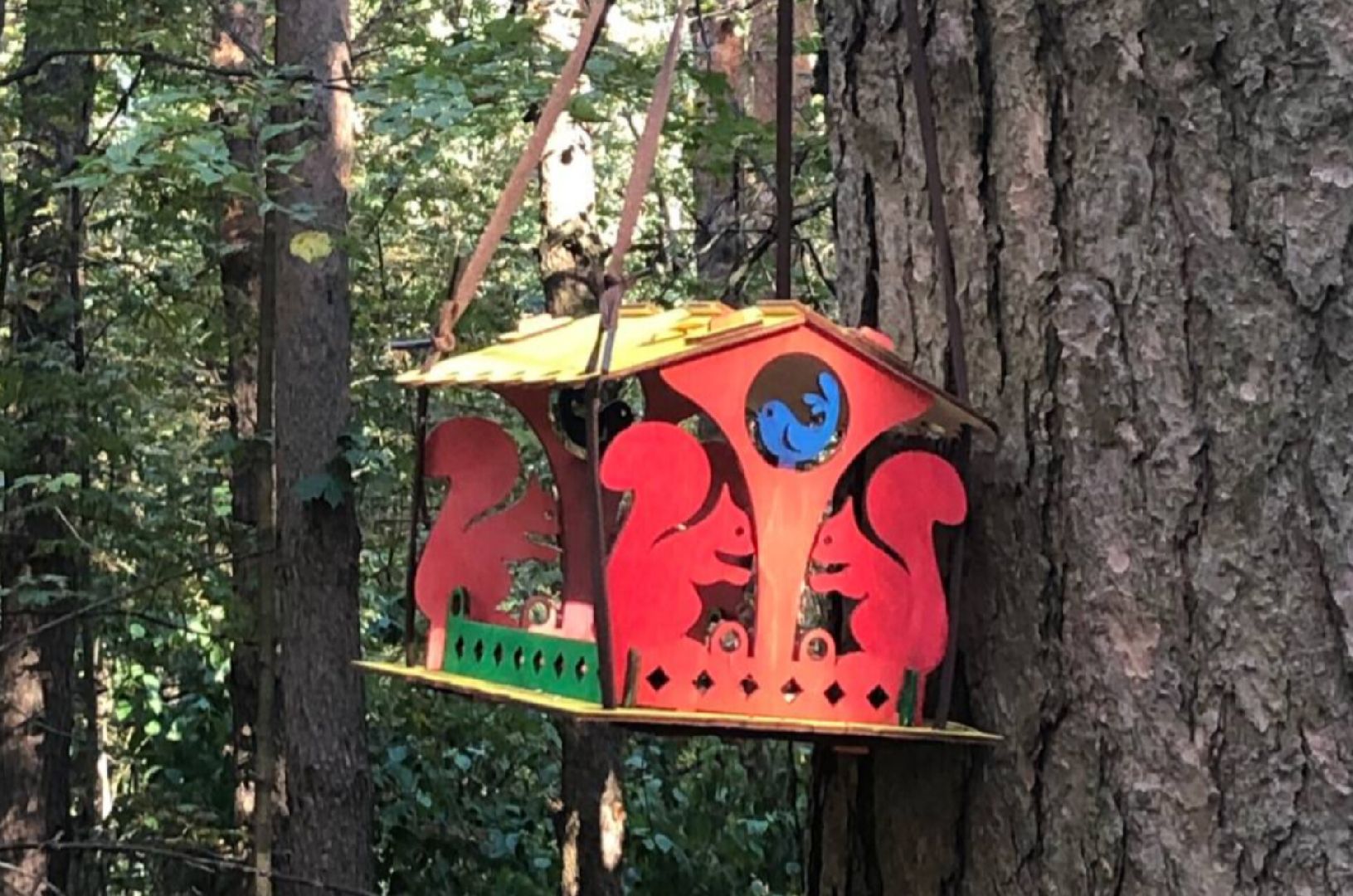 Звенигород, Супонево, благоустойство, парки подмосковья,