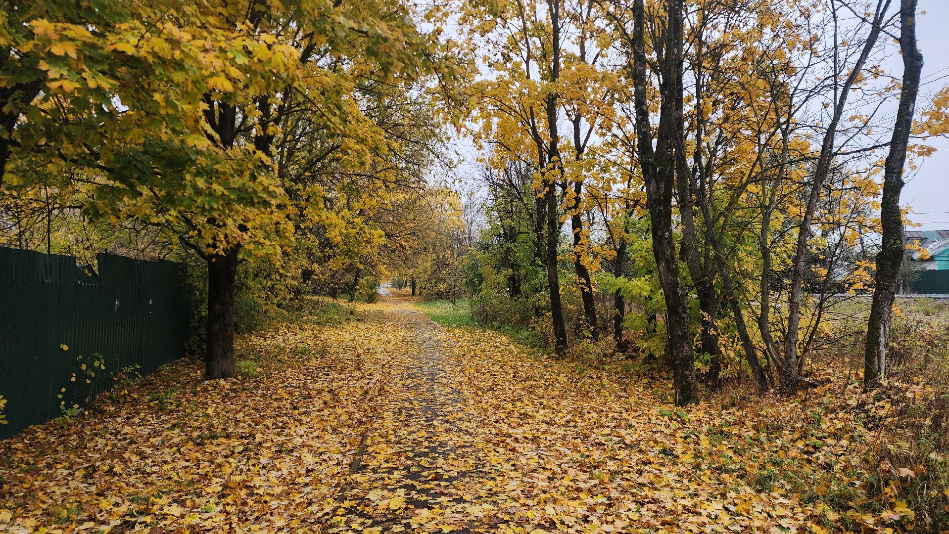 Звенигород, Супонево, благоустойство, парки подмосковья,