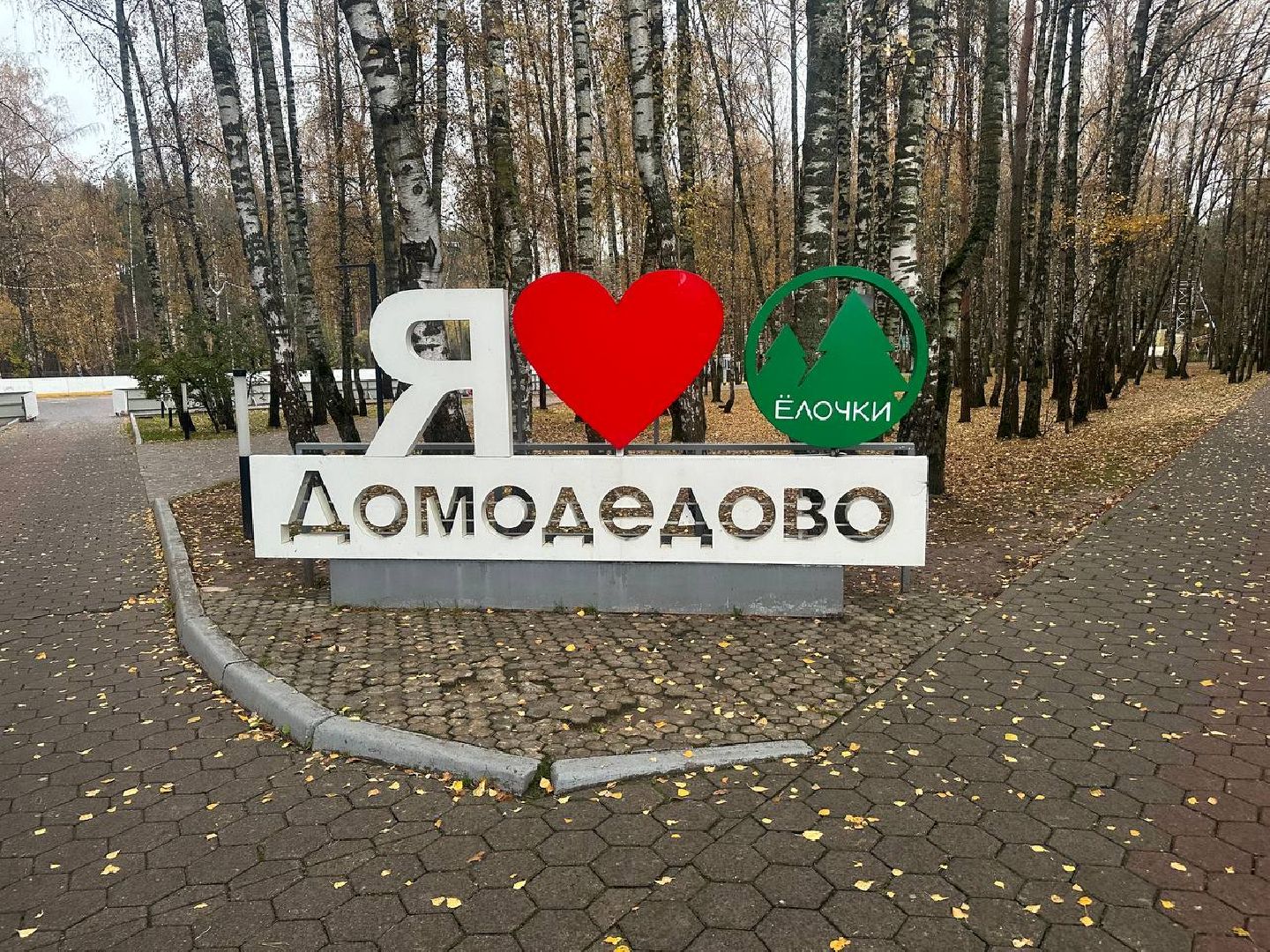 утки, корм для уток, парки,