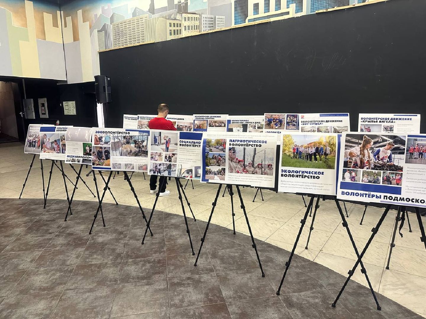 волонеры, волонтеры подмосковья,