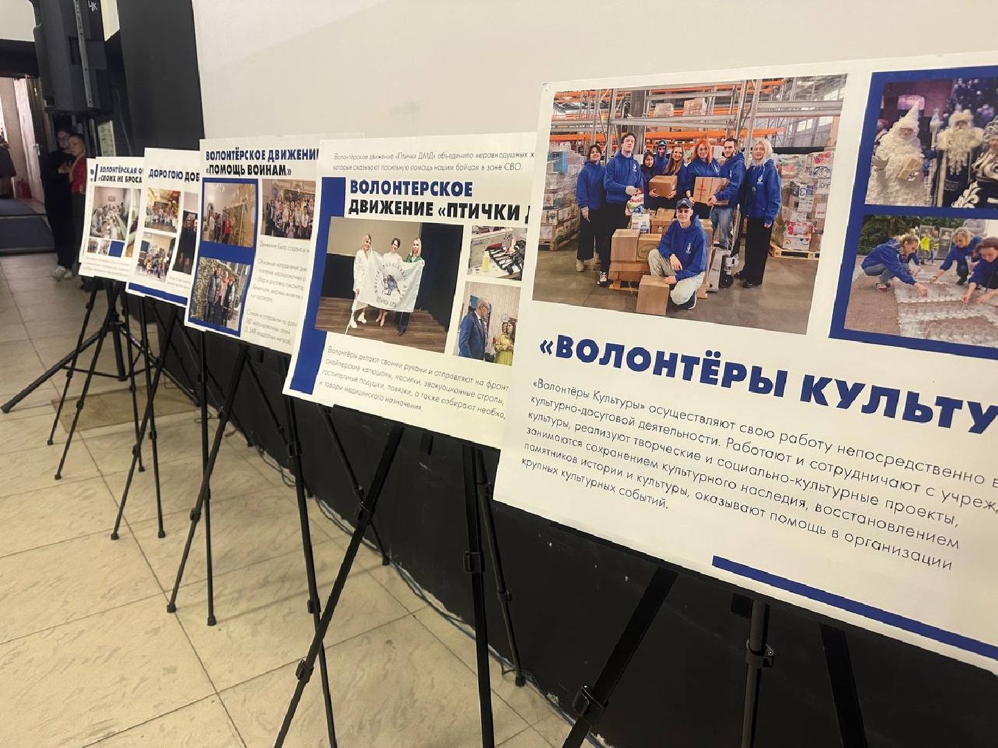 волонеры, волонтеры подмосковья,