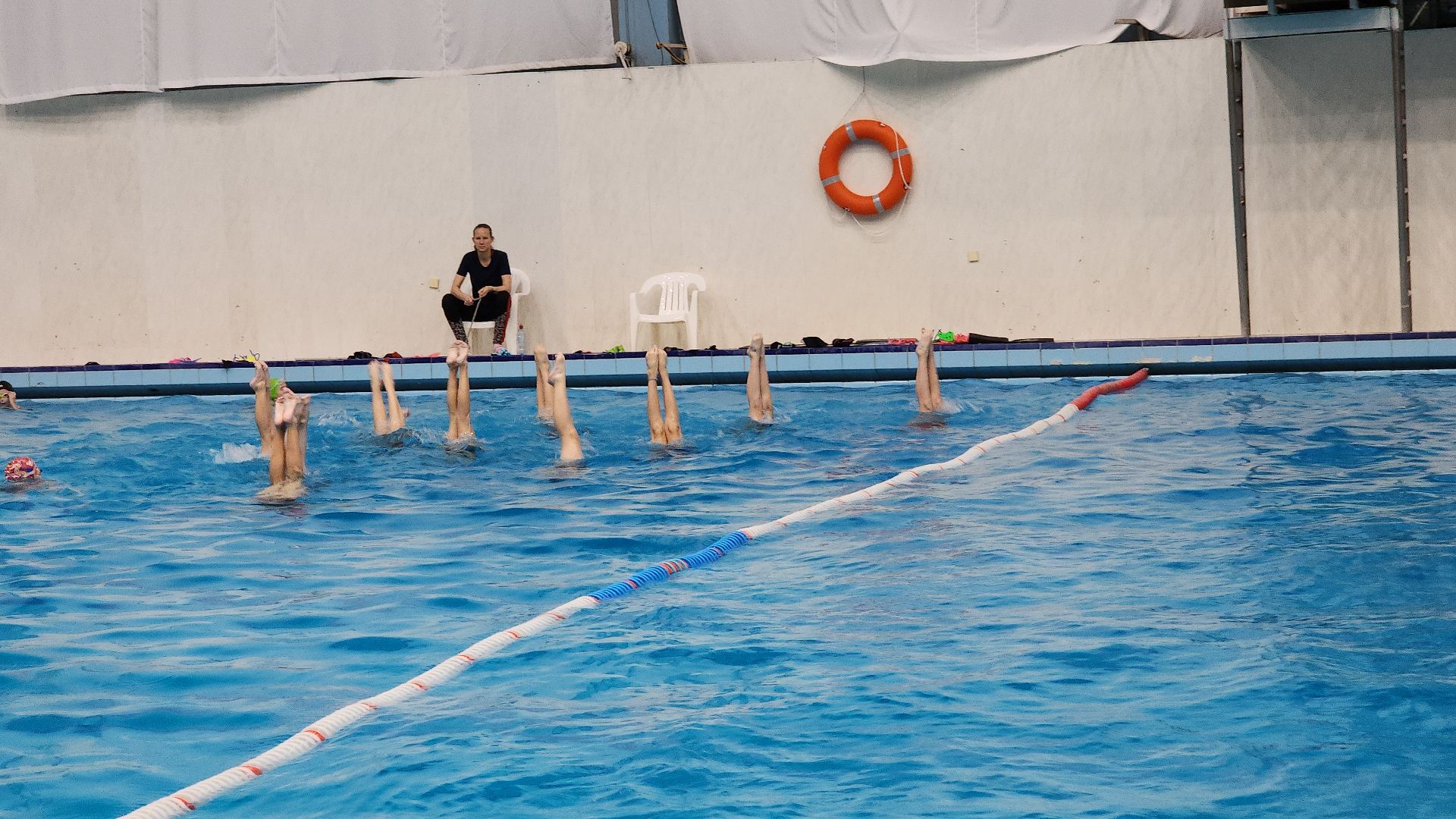 прыжки в воду, день тренера, тренер по прыжкам в воду, тренер-преподаватель, электросталь, электросталь спортивная, чемпионы, золотая медаль, спорт в подмосковье, спортивная молодежь,