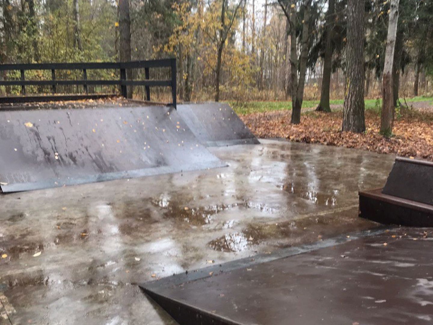 Черноголовка, план добрых дел, уборка листы,