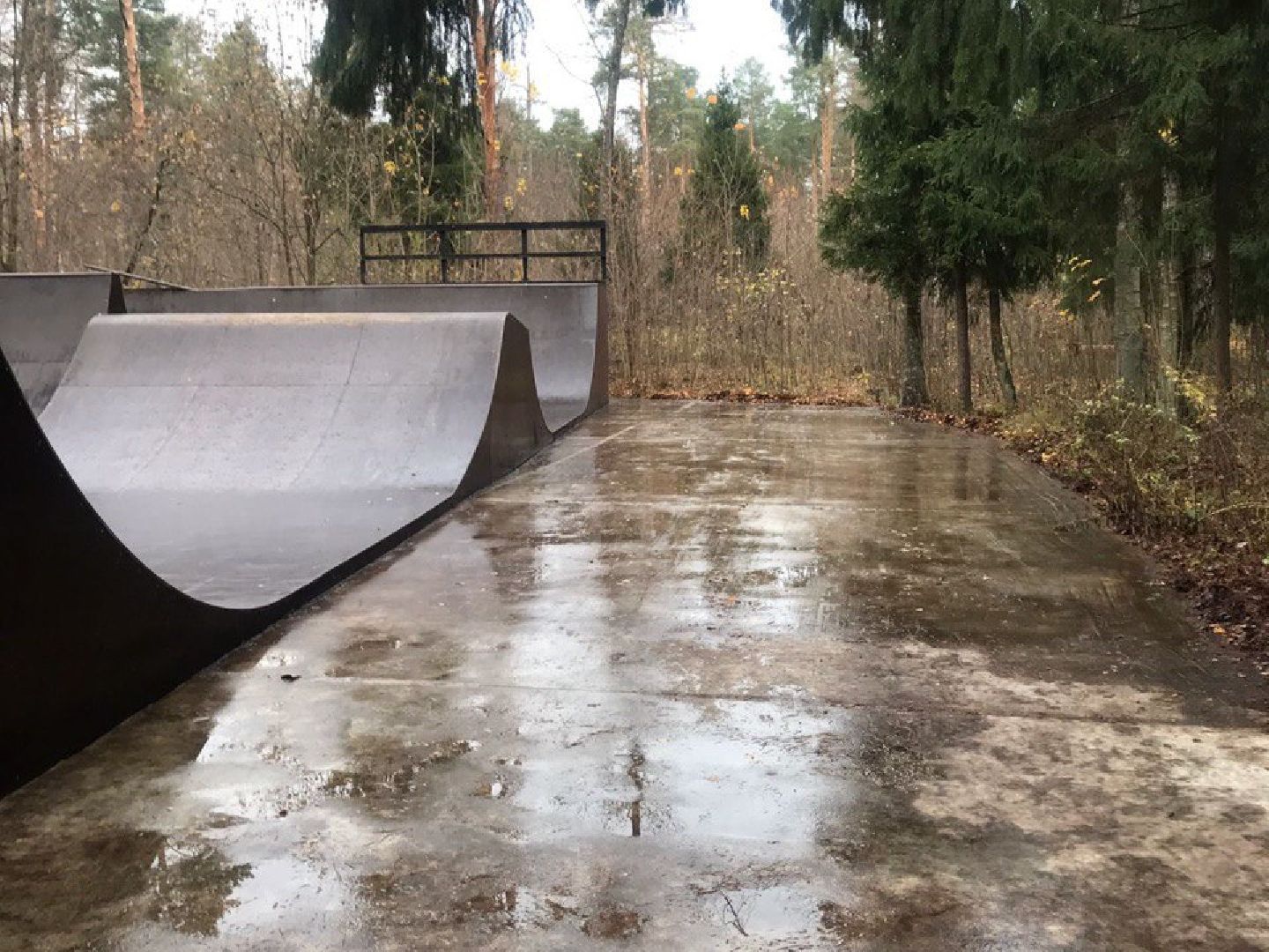 Черноголовка, план добрых дел, уборка листы,