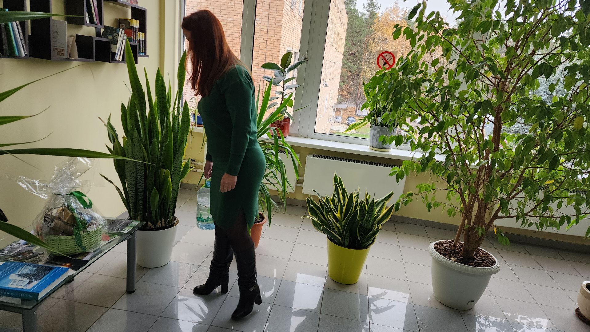 ивантеевка, антитеррористическая безопасность, силовые структуры, антитеррористическая тренировка, организация, росгвардия, мвд, мчс, кинологическая служба,