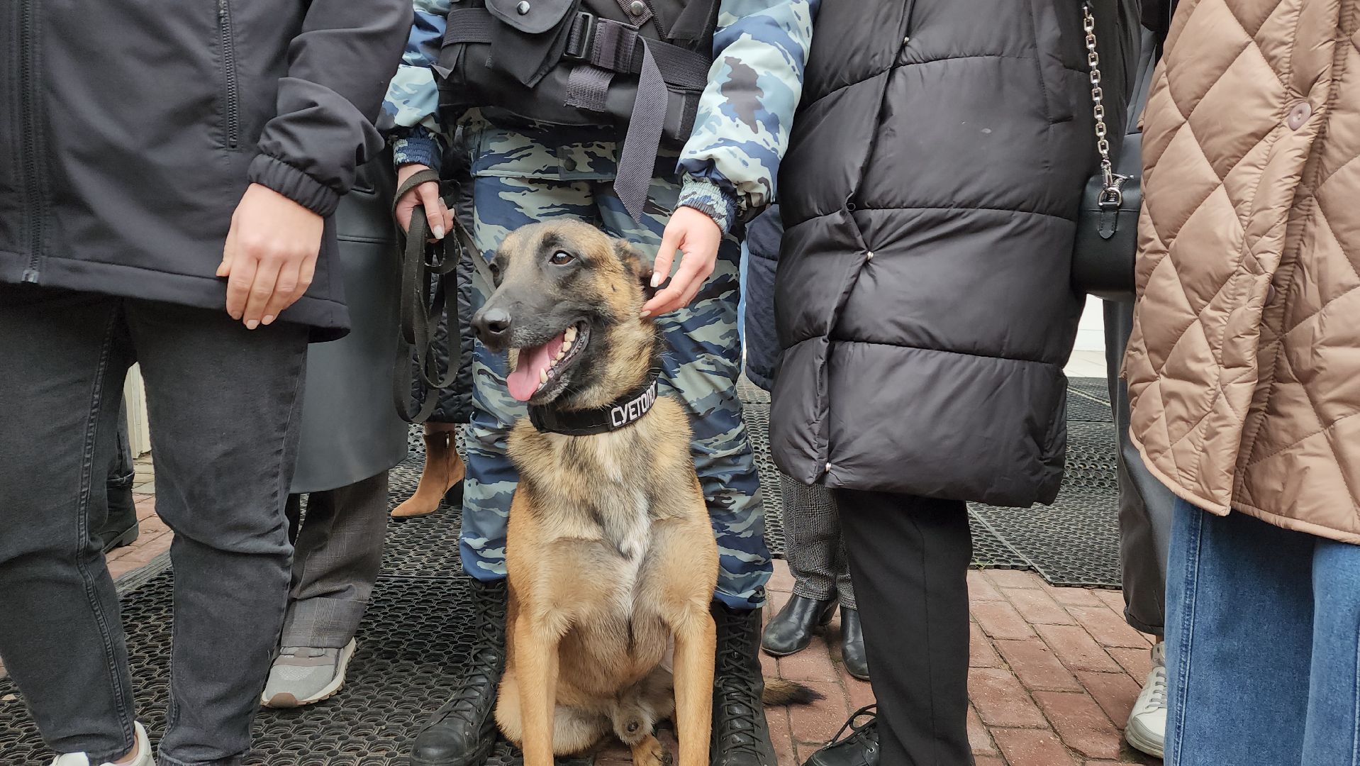 ивантеевка, антитеррористическая безопасность, силовые структуры, антитеррористическая тренировка, организация, росгвардия, мвд, мчс, кинологическая служба,