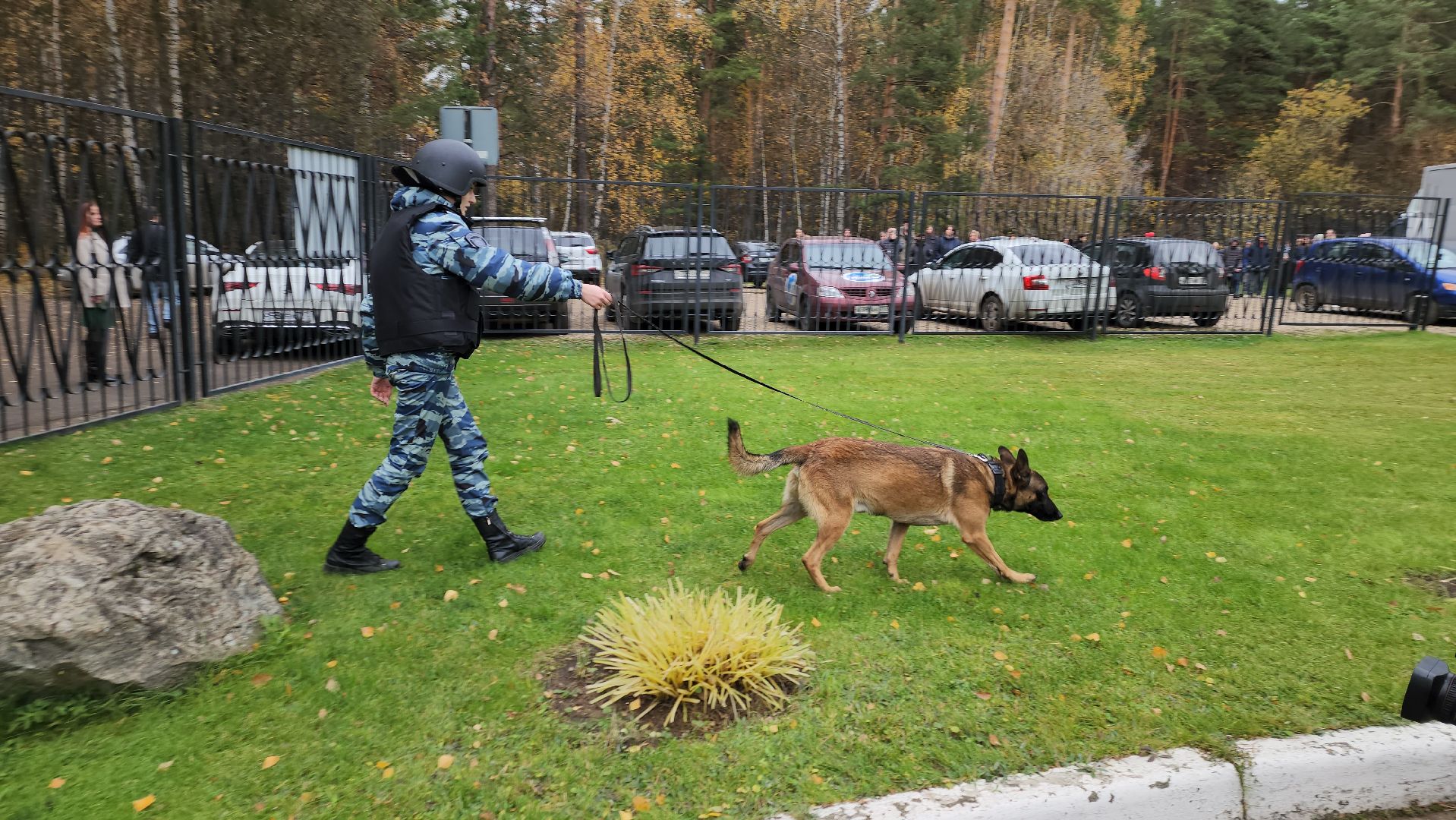 ивантеевка, антитеррористическая безопасность, силовые структуры, антитеррористическая тренировка, организация, росгвардия, мвд, мчс, кинологическая служба,