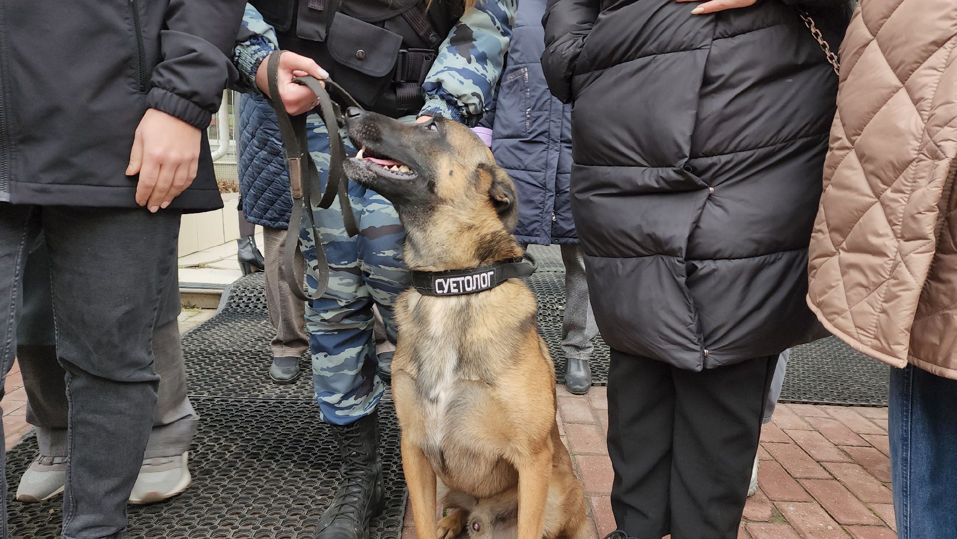ивантеевка, антитеррористическая безопасность, силовые структуры, антитеррористическая тренировка, организация, росгвардия, мвд, мчс, кинологическая служба,