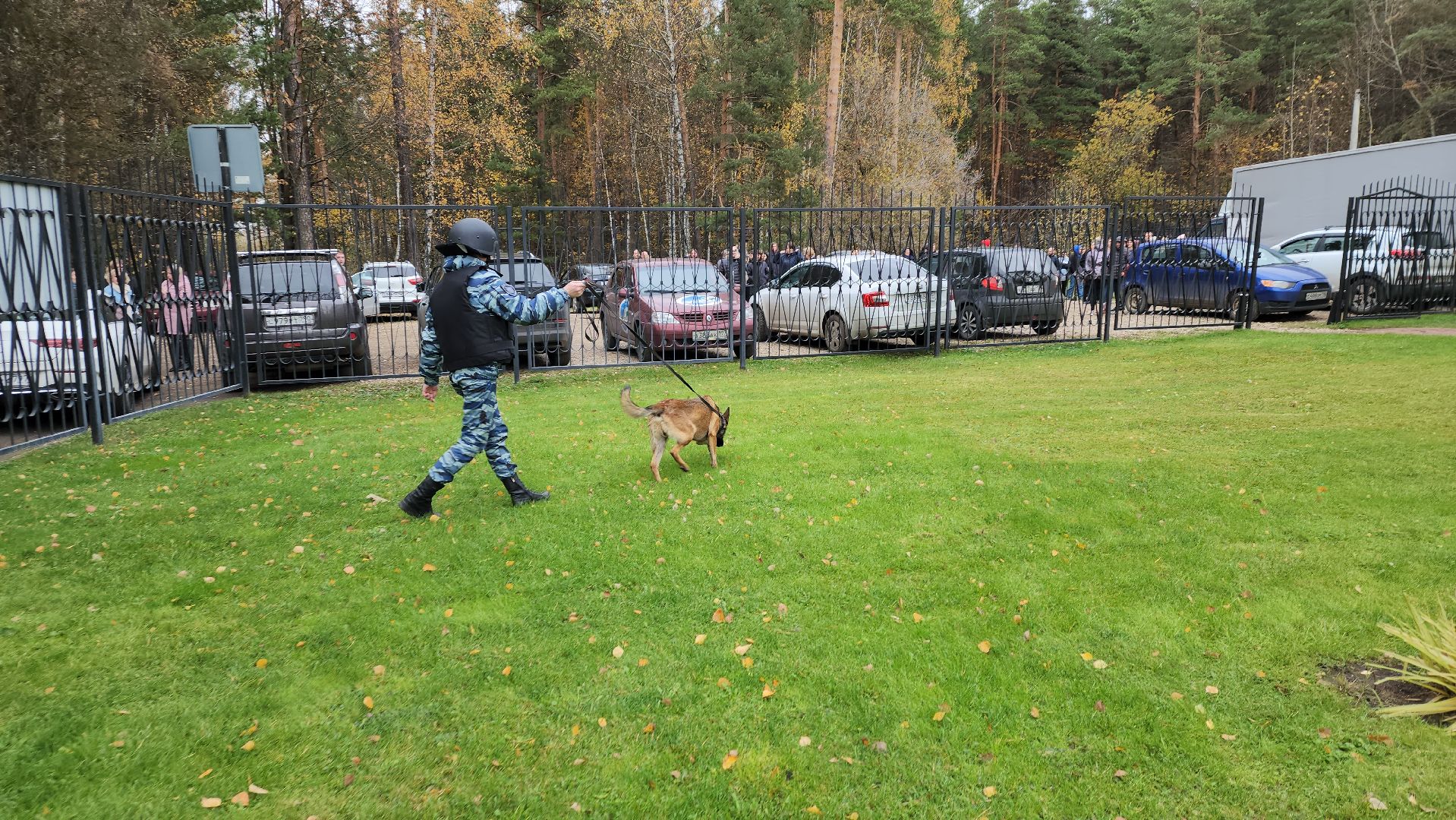 ивантеевка, антитеррористическая безопасность, силовые структуры, антитеррористическая тренировка, организация, росгвардия, мвд, мчс, кинологическая служба,
