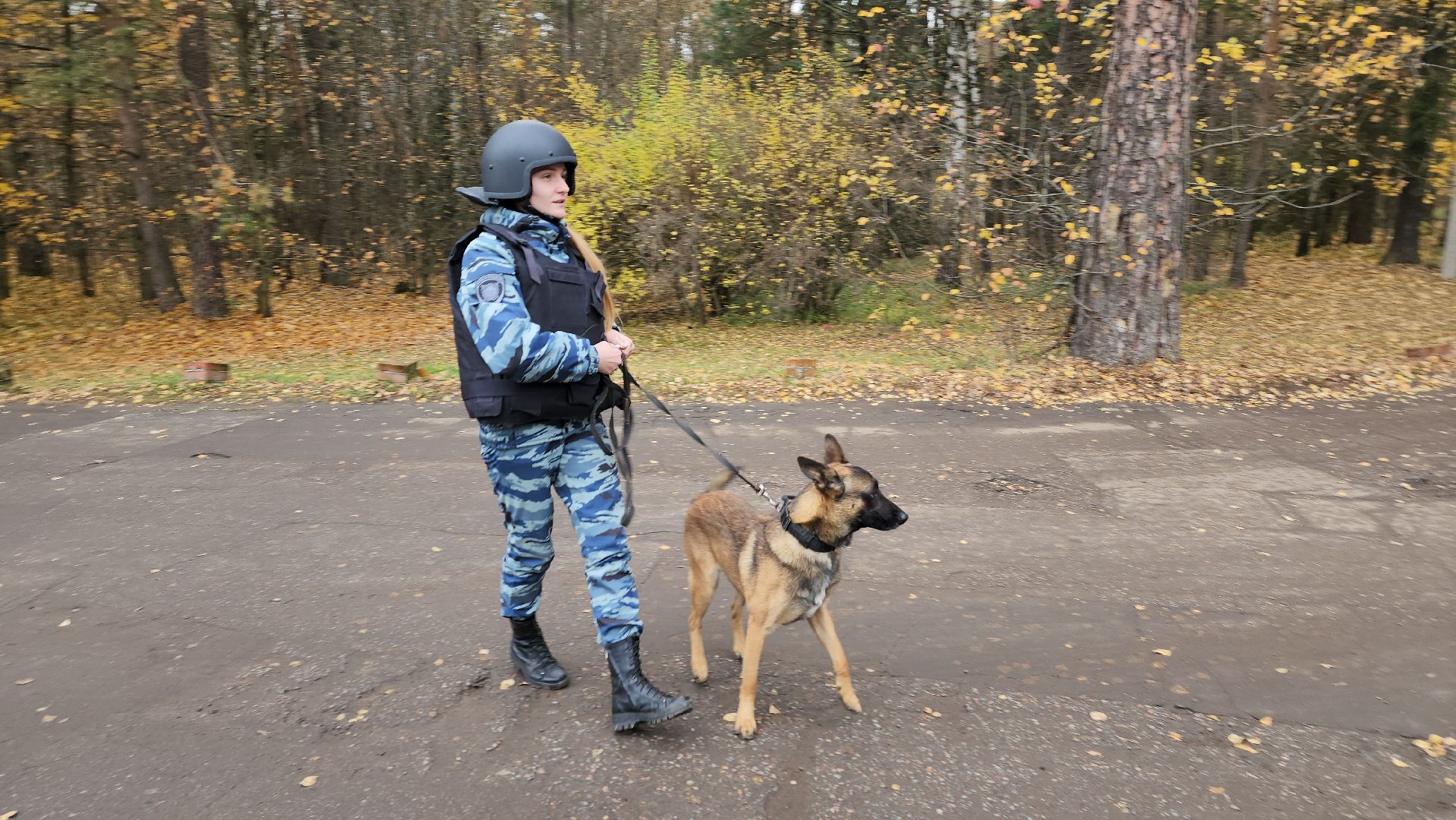 ивантеевка, антитеррористическая безопасность, силовые структуры, антитеррористическая тренировка, организация, росгвардия, мвд, мчс, кинологическая служба,