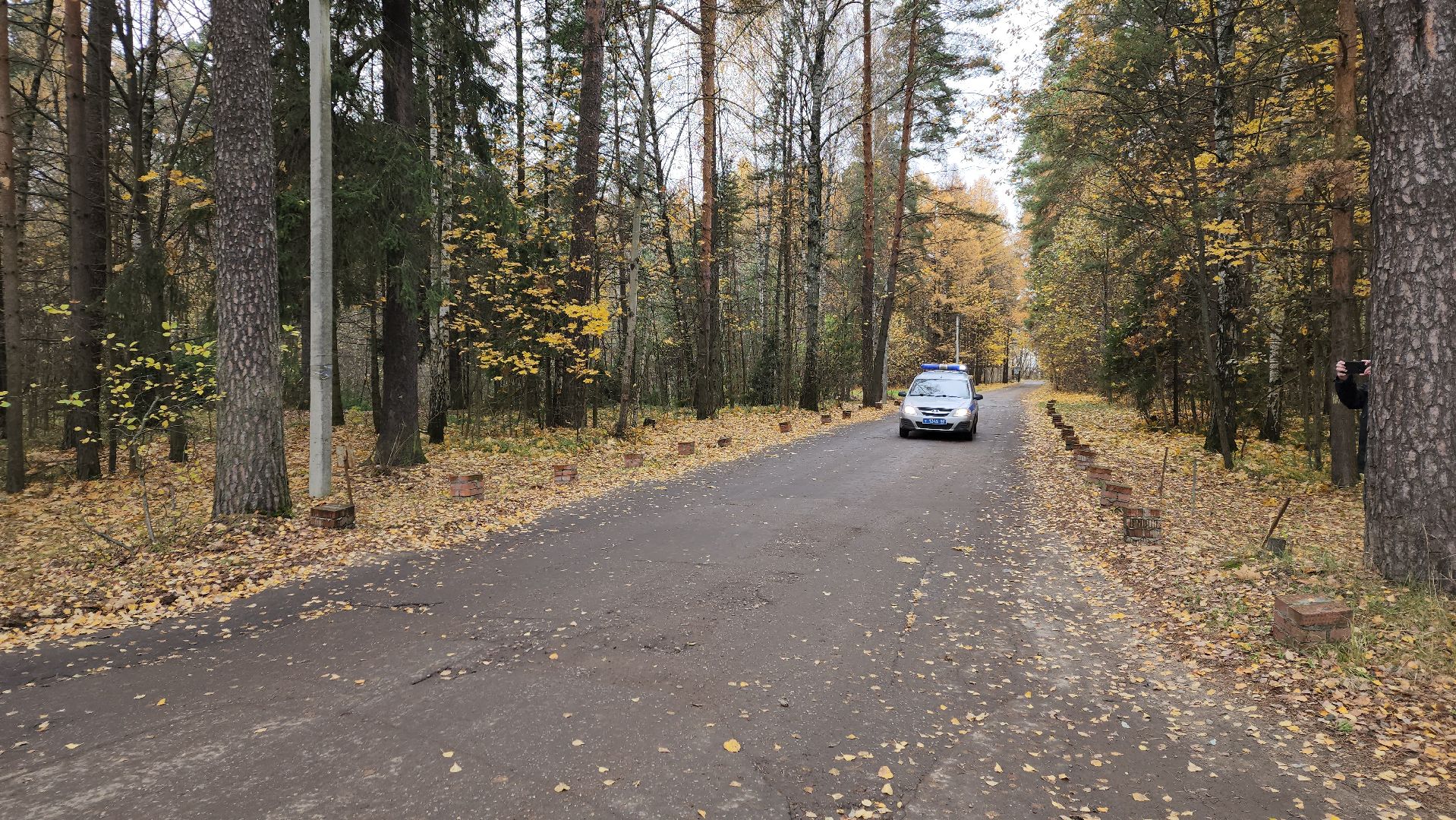 ивантеевка, антитеррористическая безопасность, силовые структуры, антитеррористическая тренировка, организация, росгвардия, мвд, мчс, кинологическая служба,