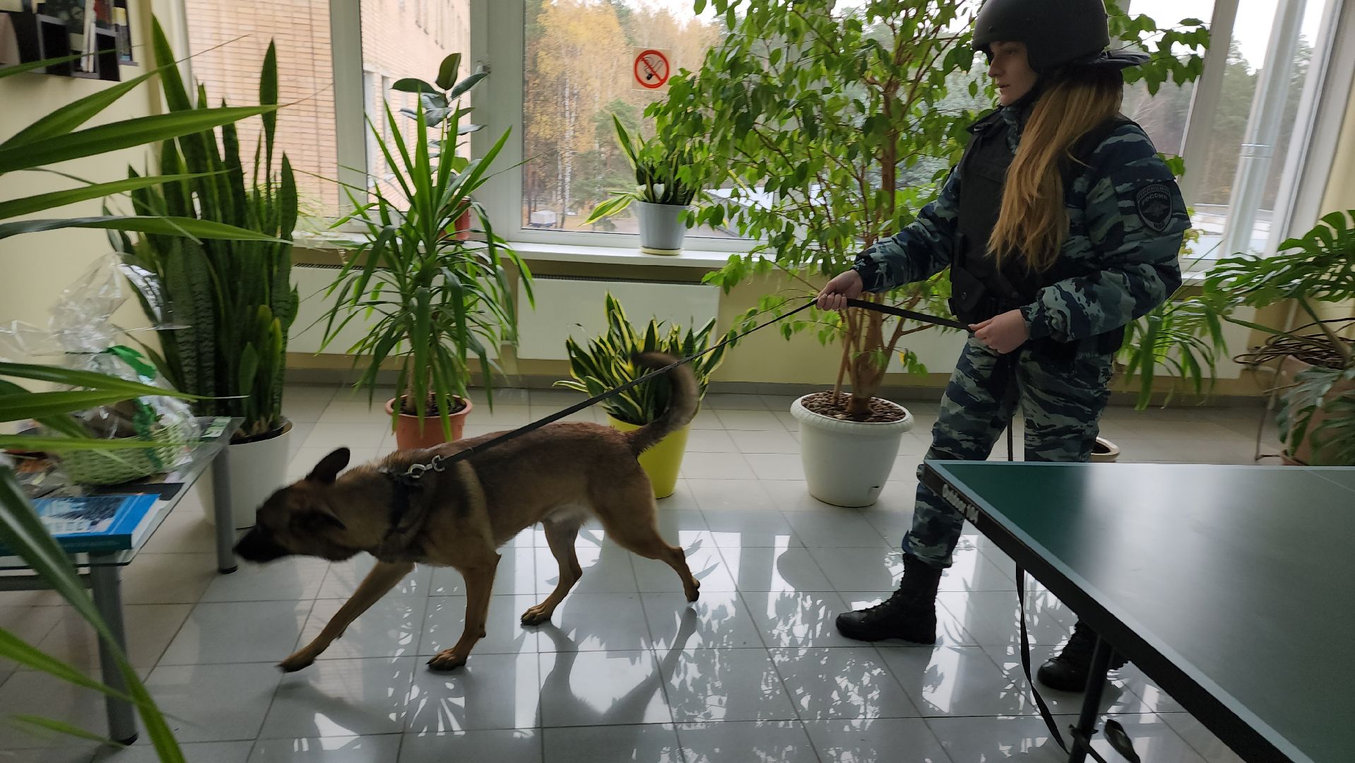 ивантеевка, антитеррористическая безопасность, силовые структуры, антитеррористическая тренировка, организация, росгвардия, мвд, мчс, кинологическая служба,